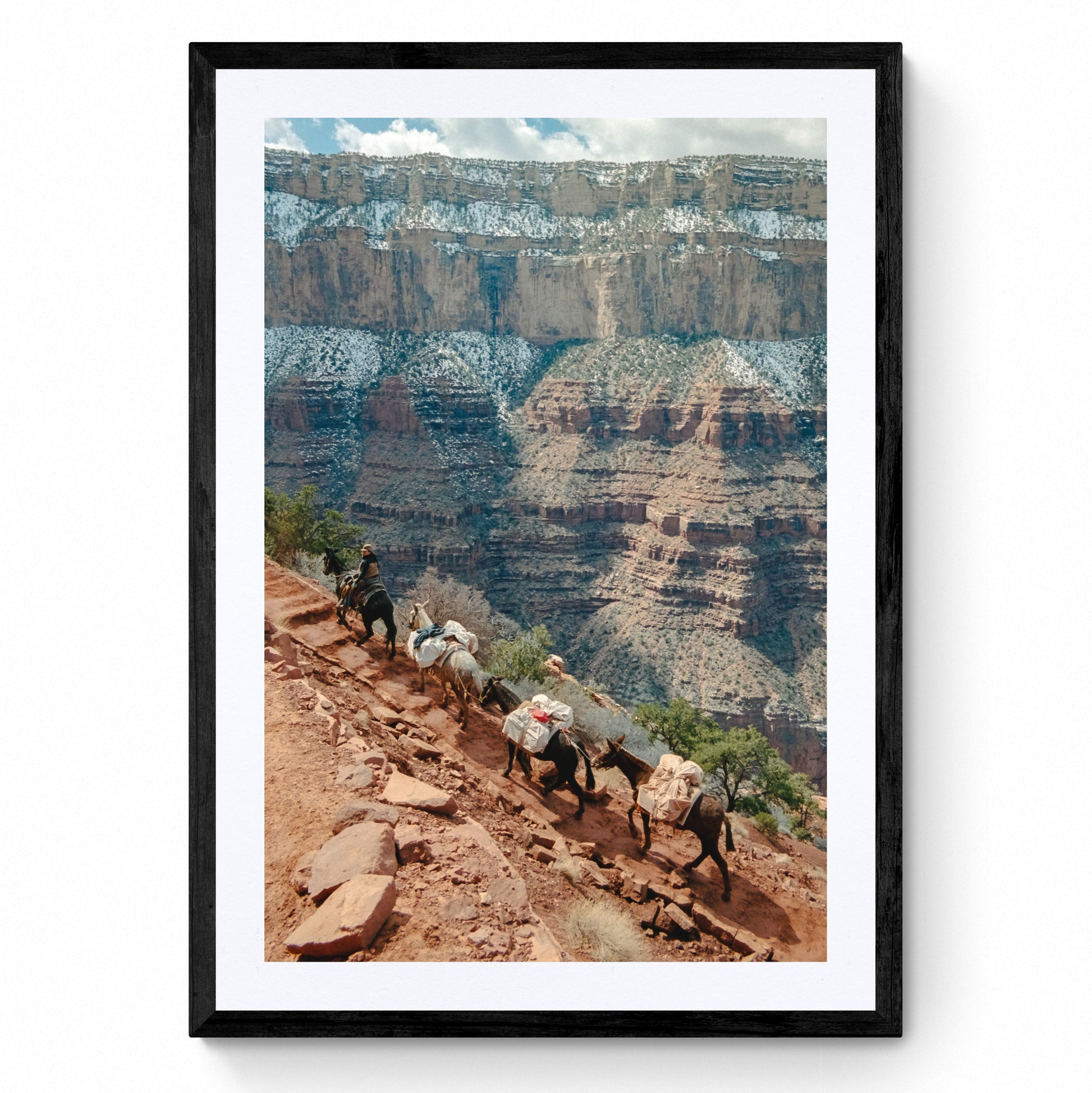 grand canyon print