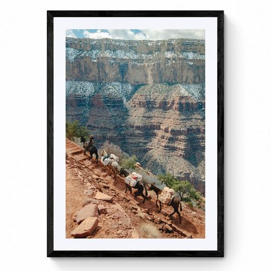 grand canyon print