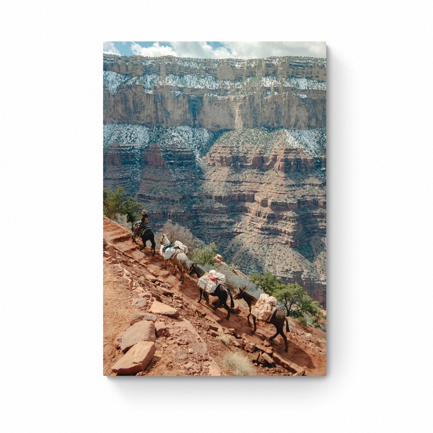grand canyon film