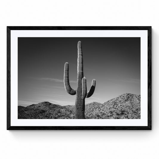 house of spoils prints