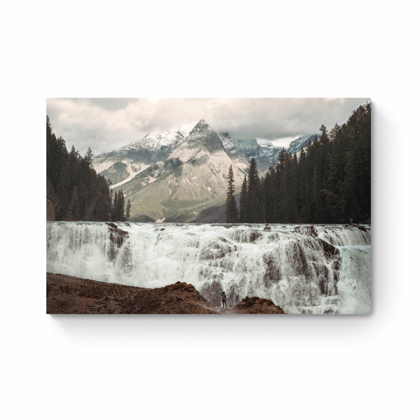 house of spoils prints