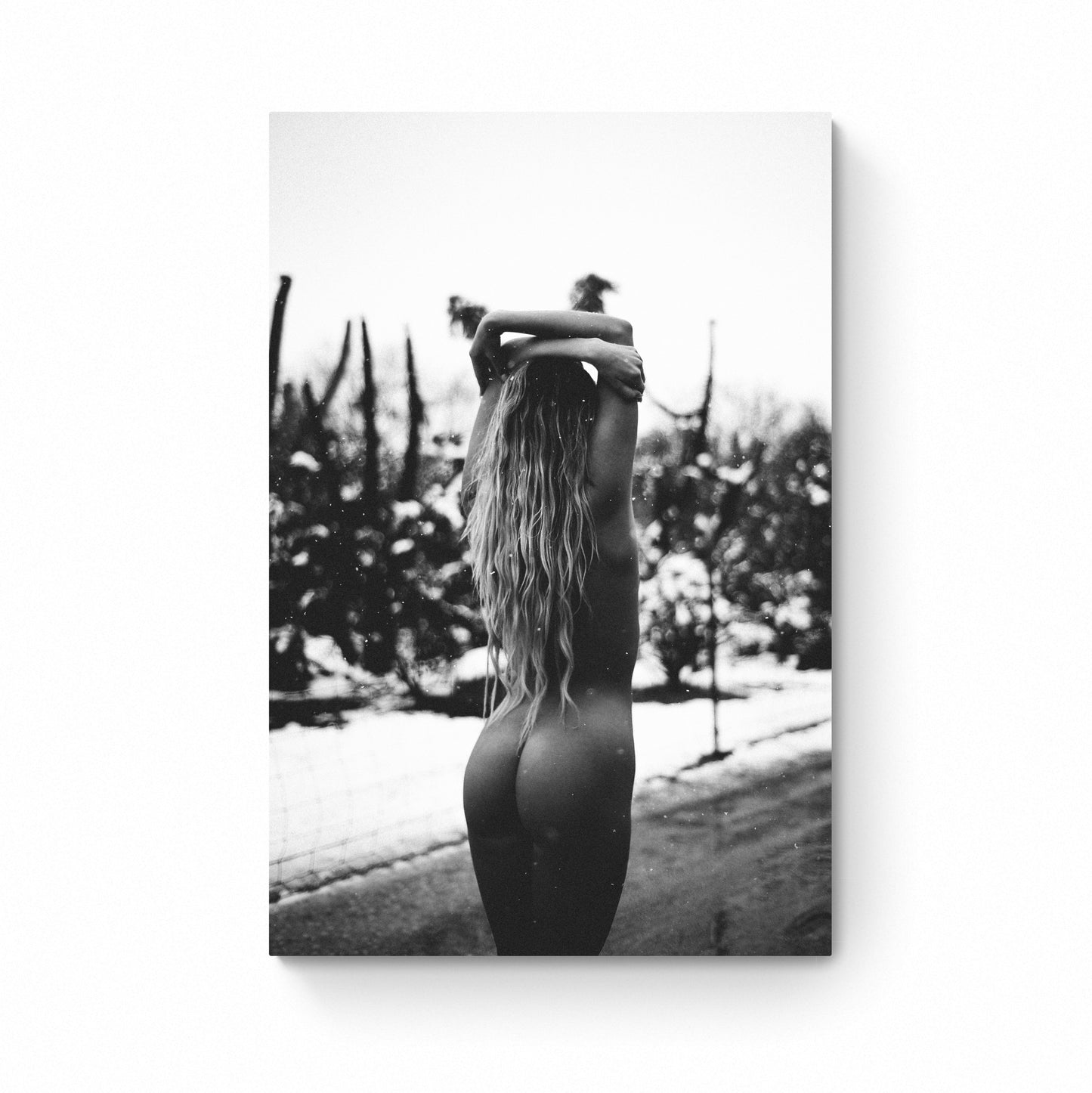 harry mark photography