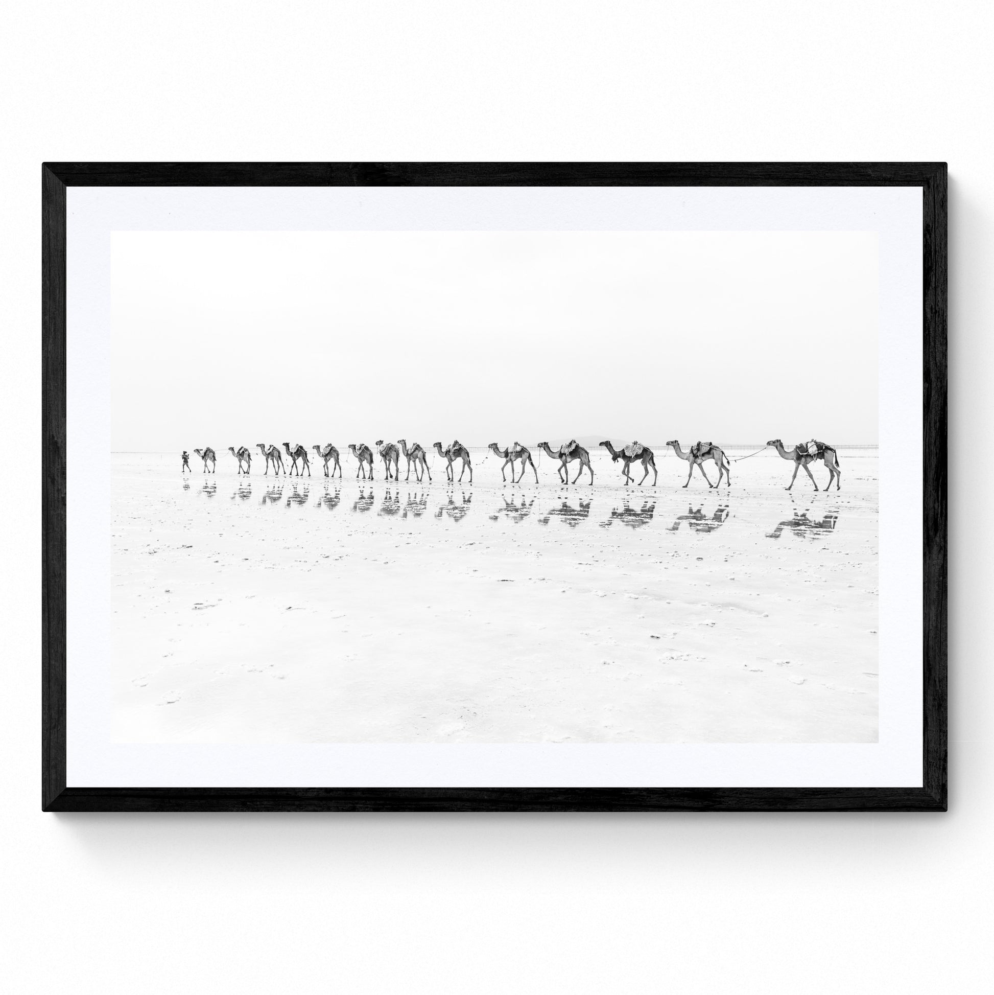 desert print