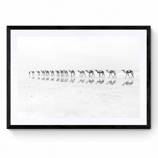 desert print