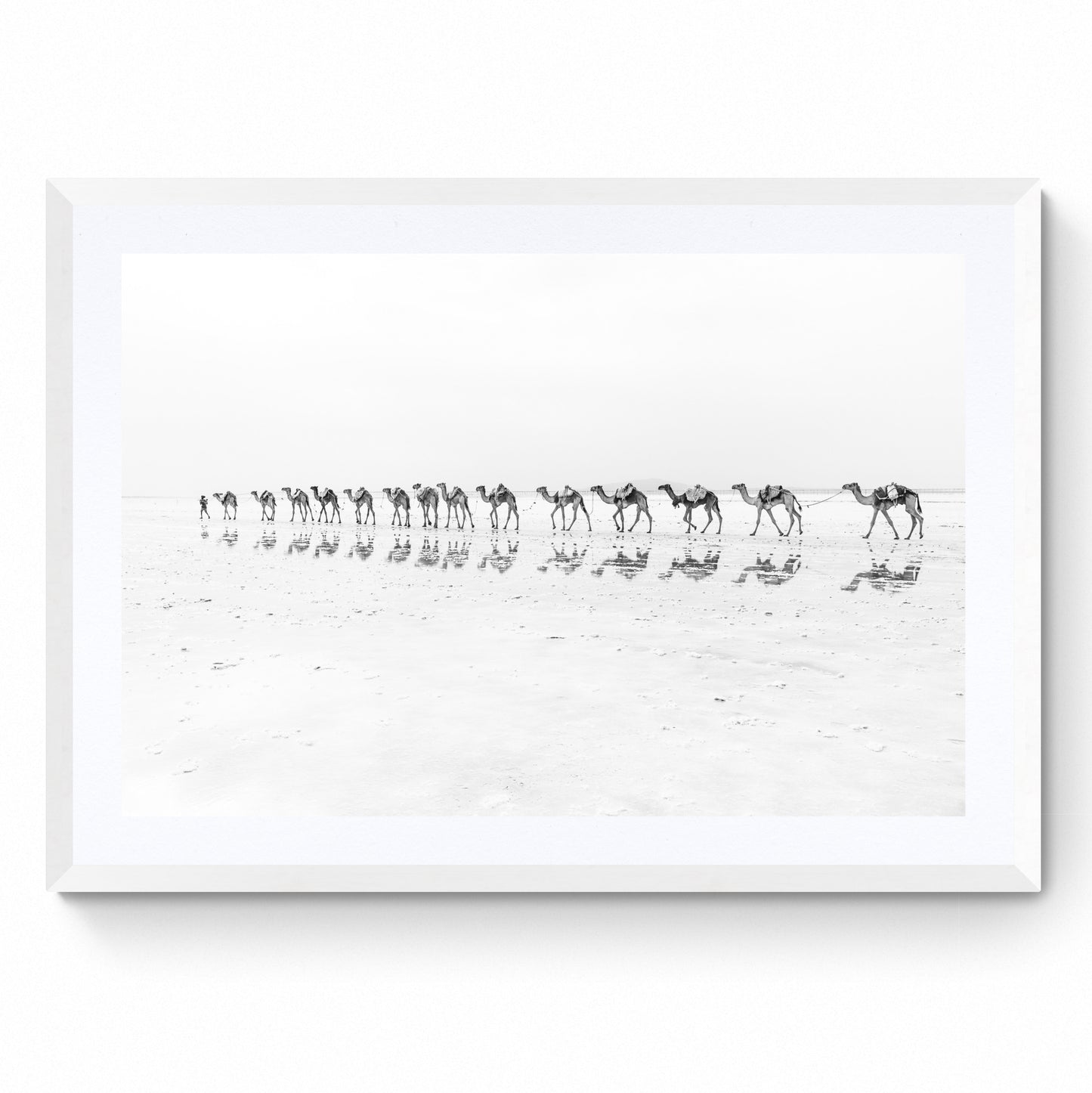 white desert photography