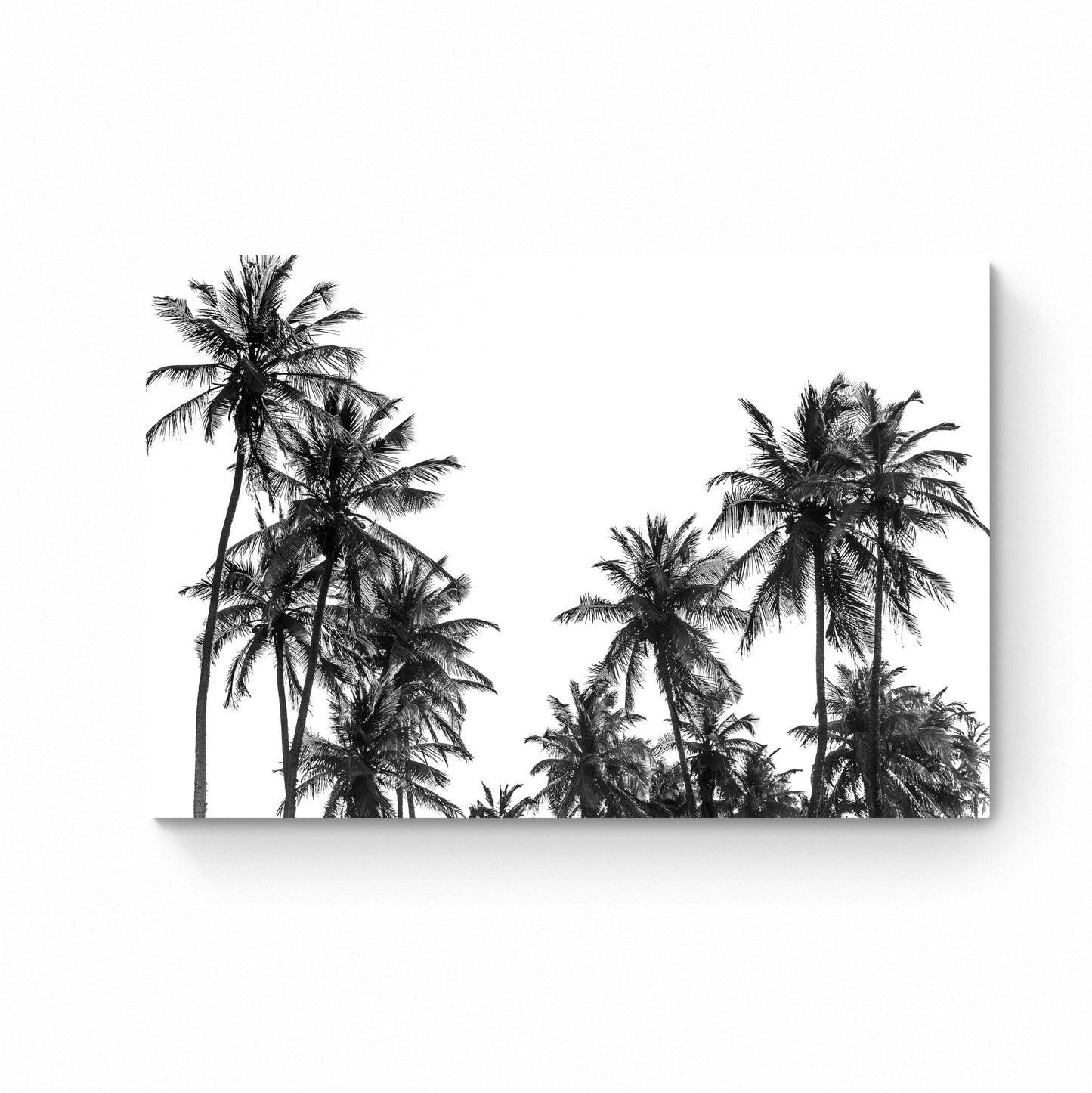 black and white photo wall