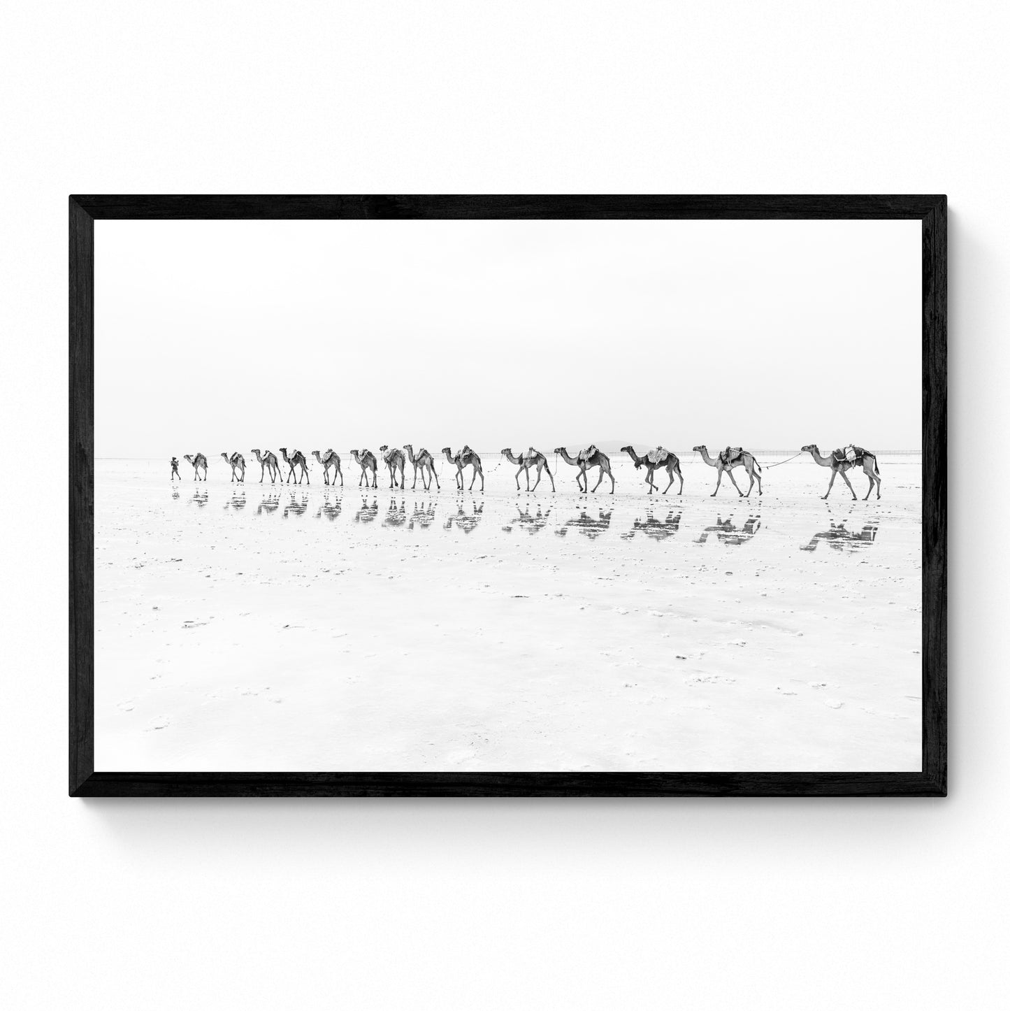 desert print