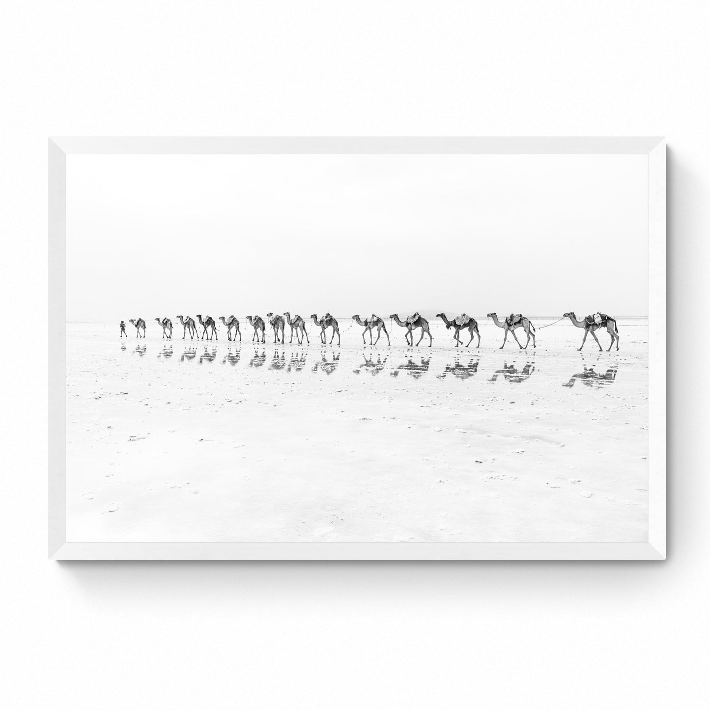 black and white photo wall