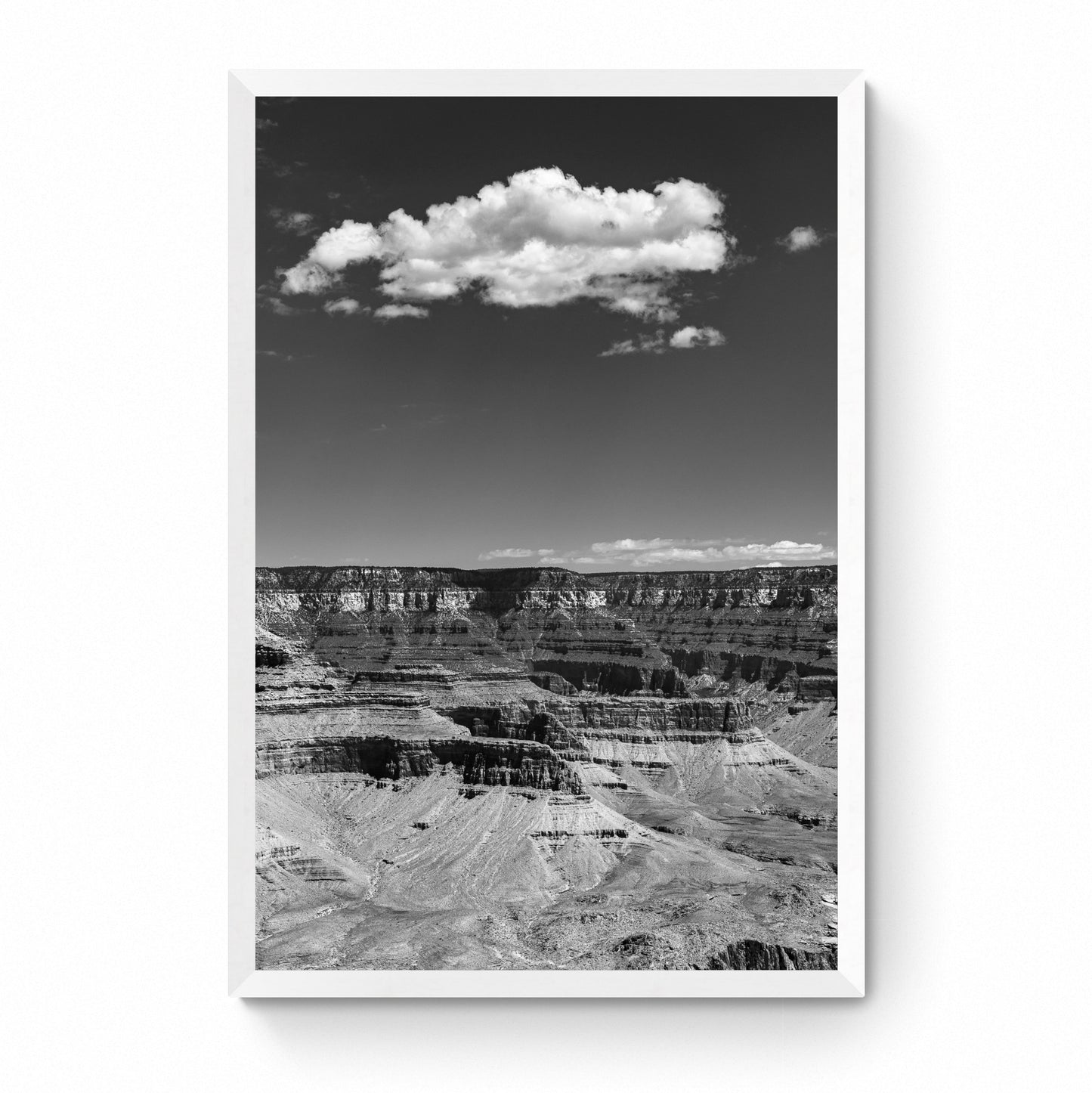 original photography