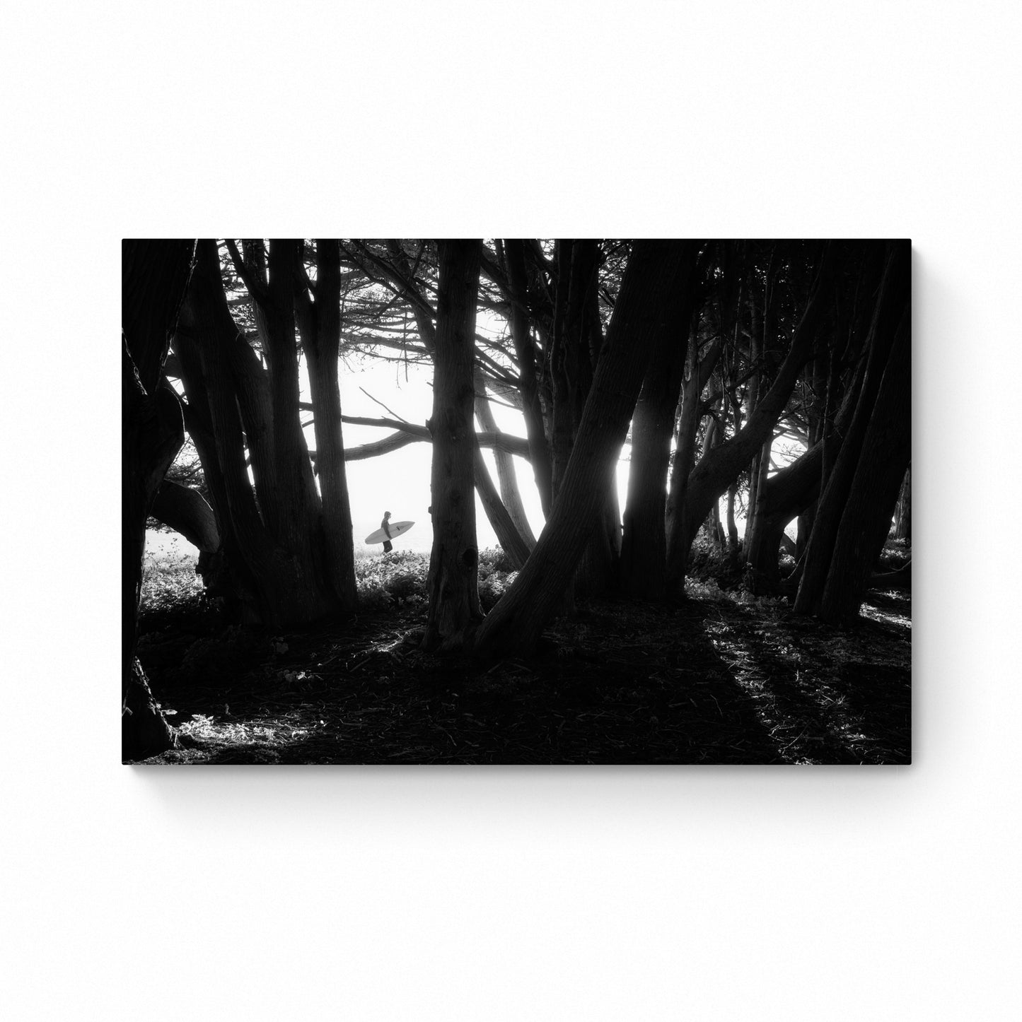 black and white surf photography
