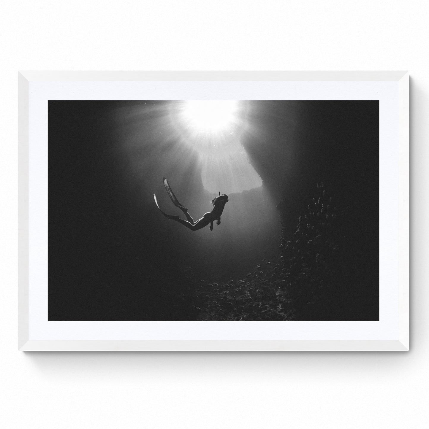 dive artwork