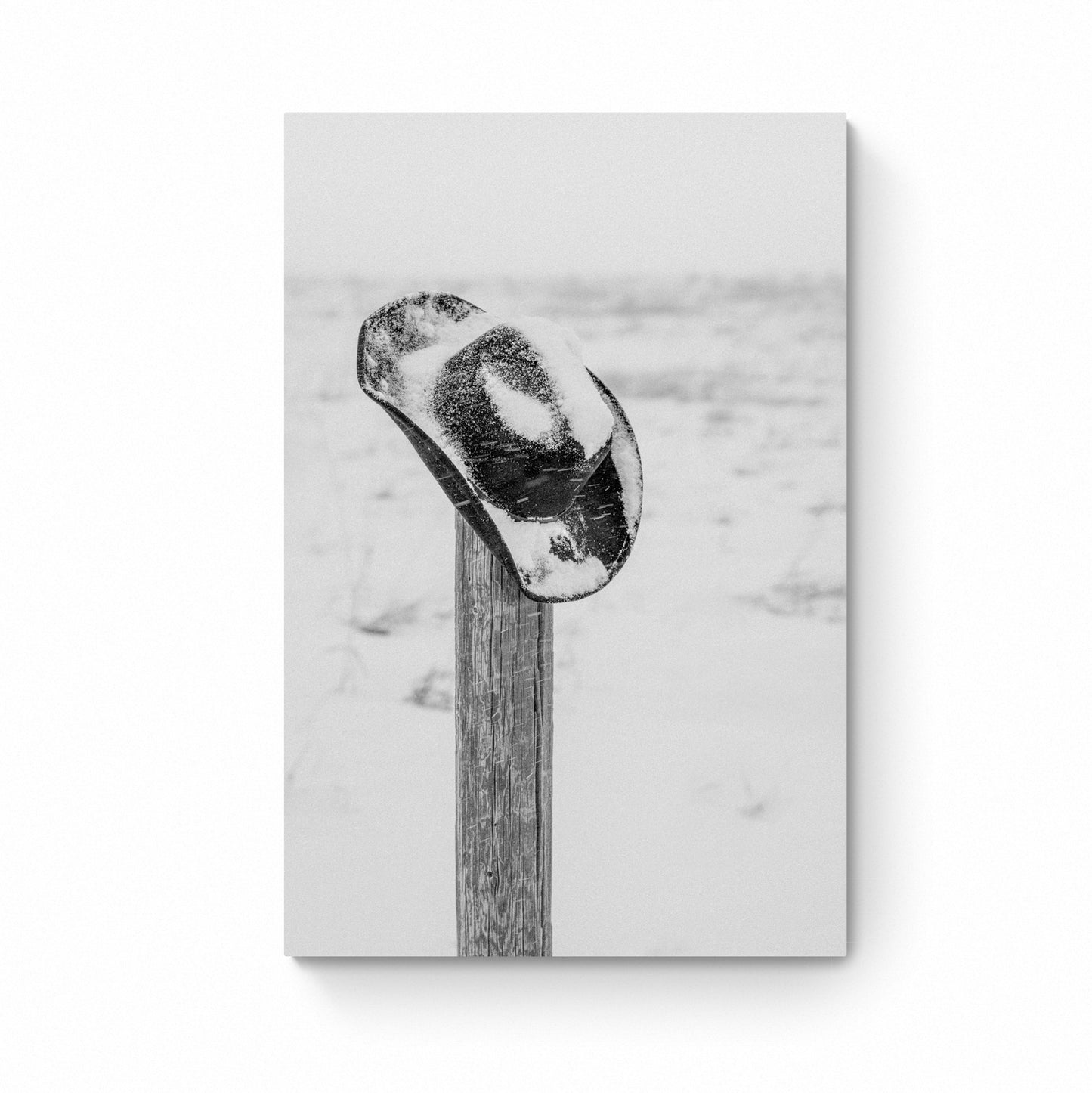 black and white photo art