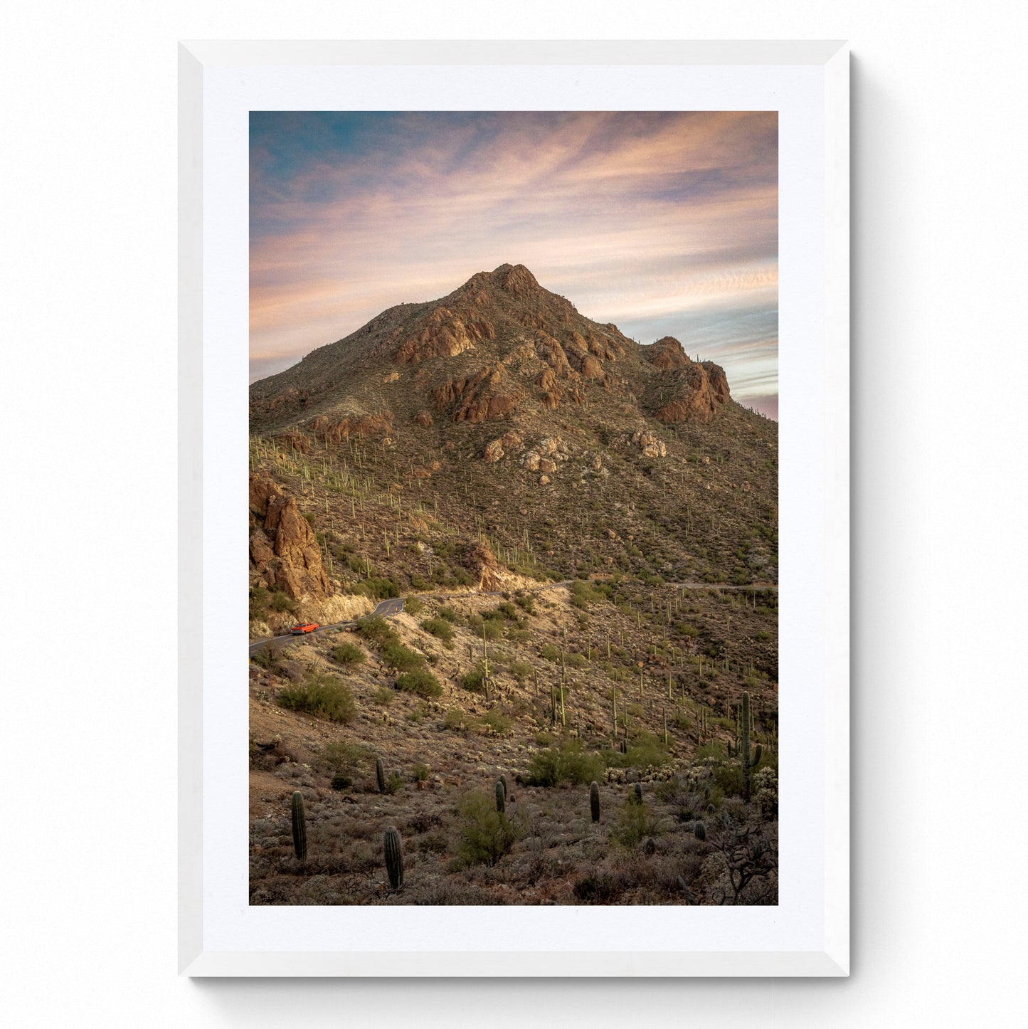 arizona desert art