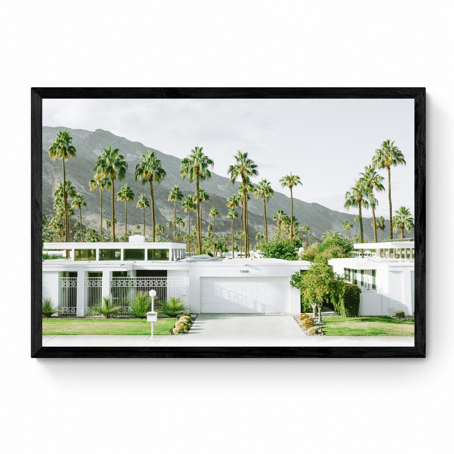 palm spring print
