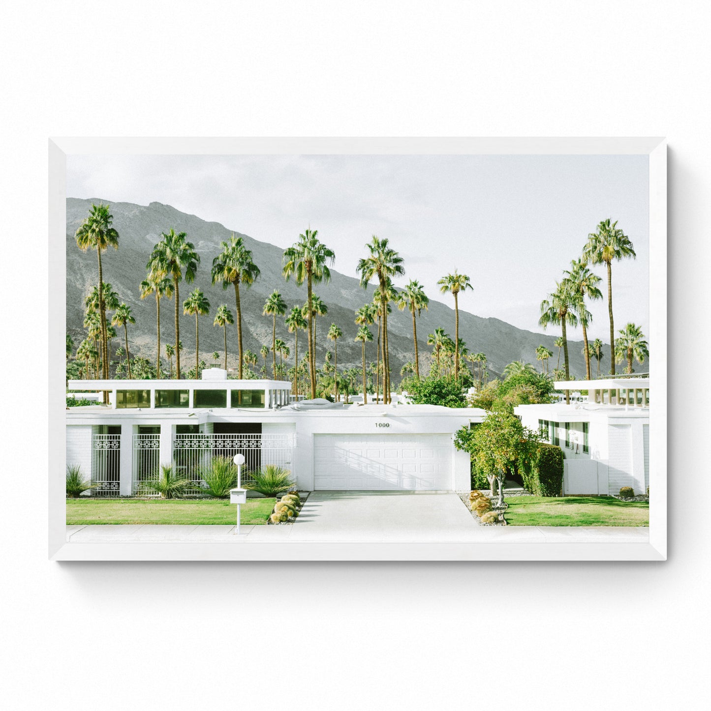 palm spring prints