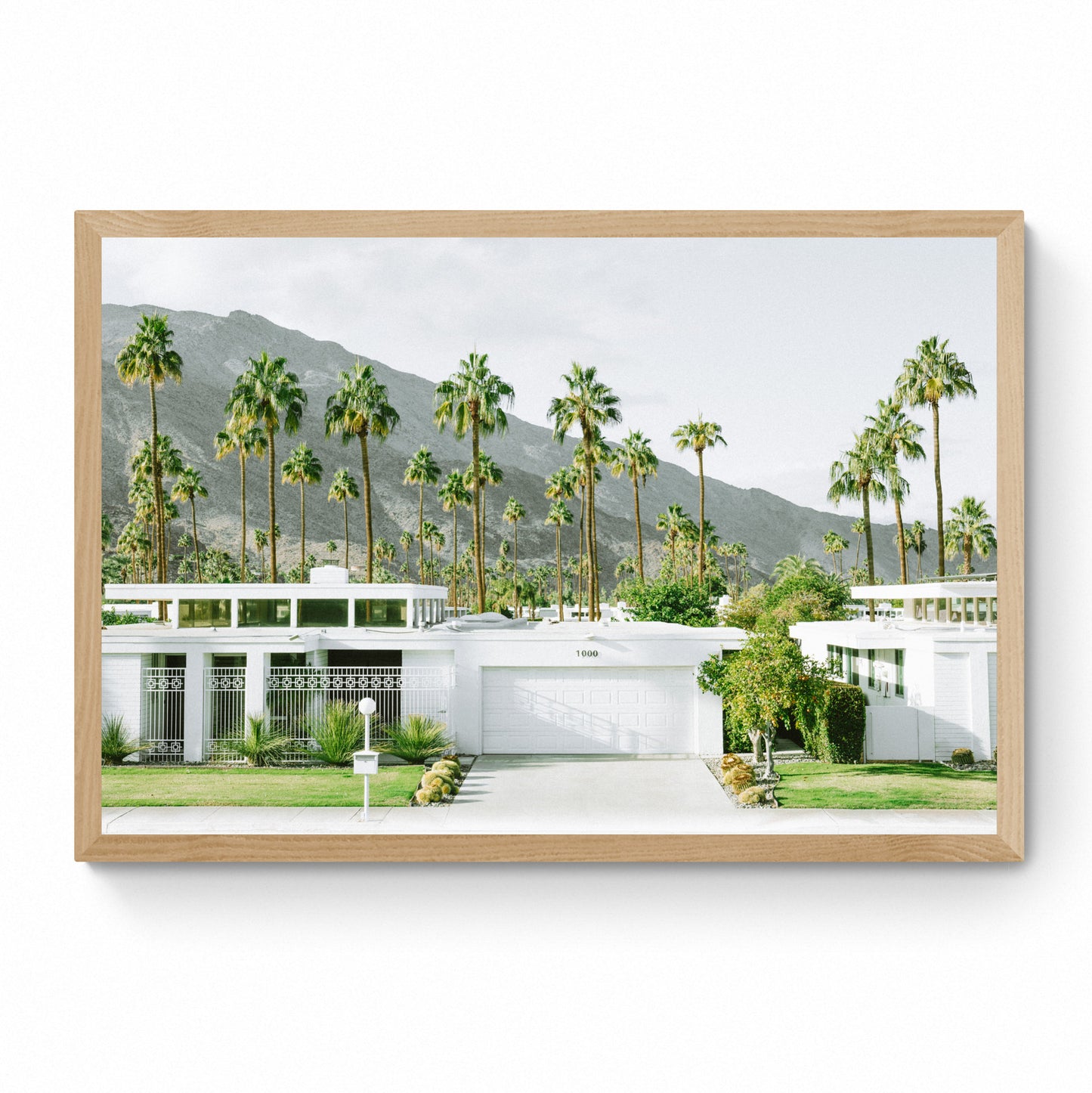 palm spring art prints