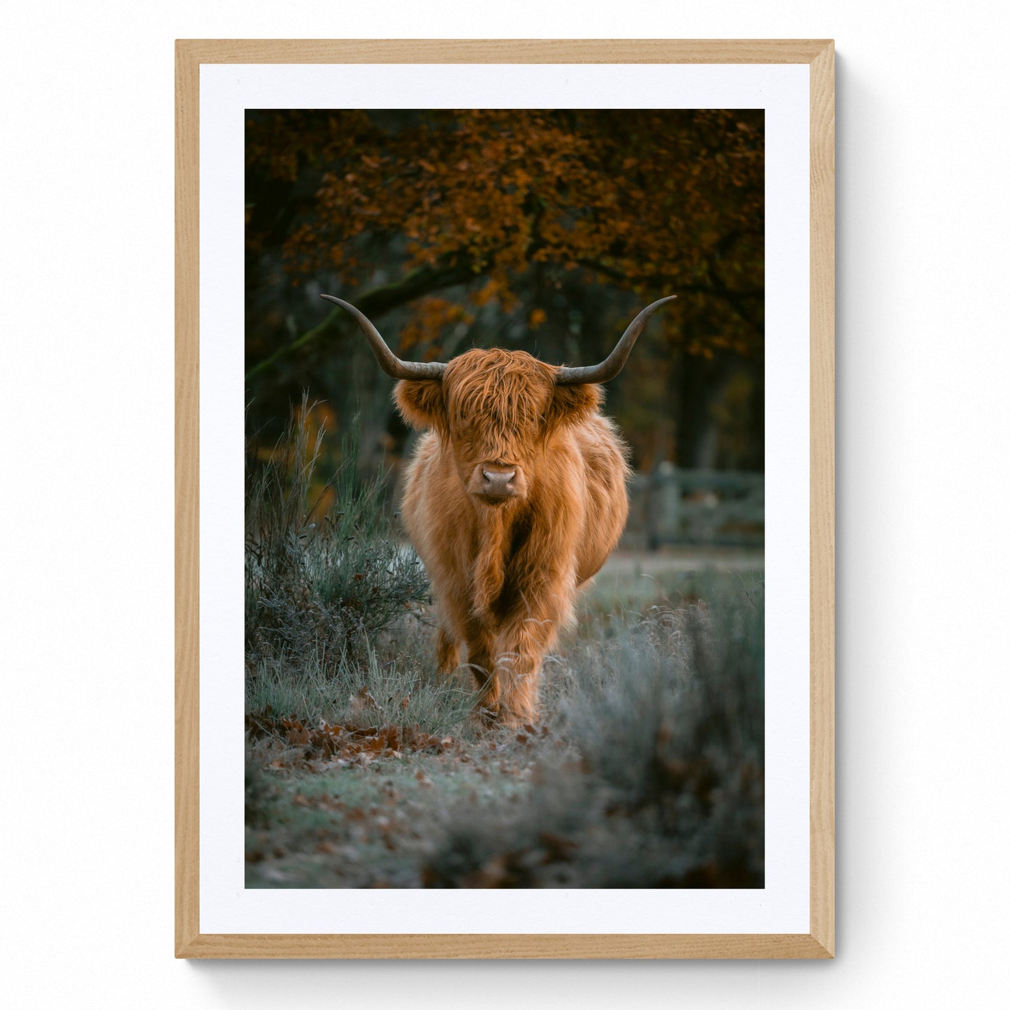 nature wall art