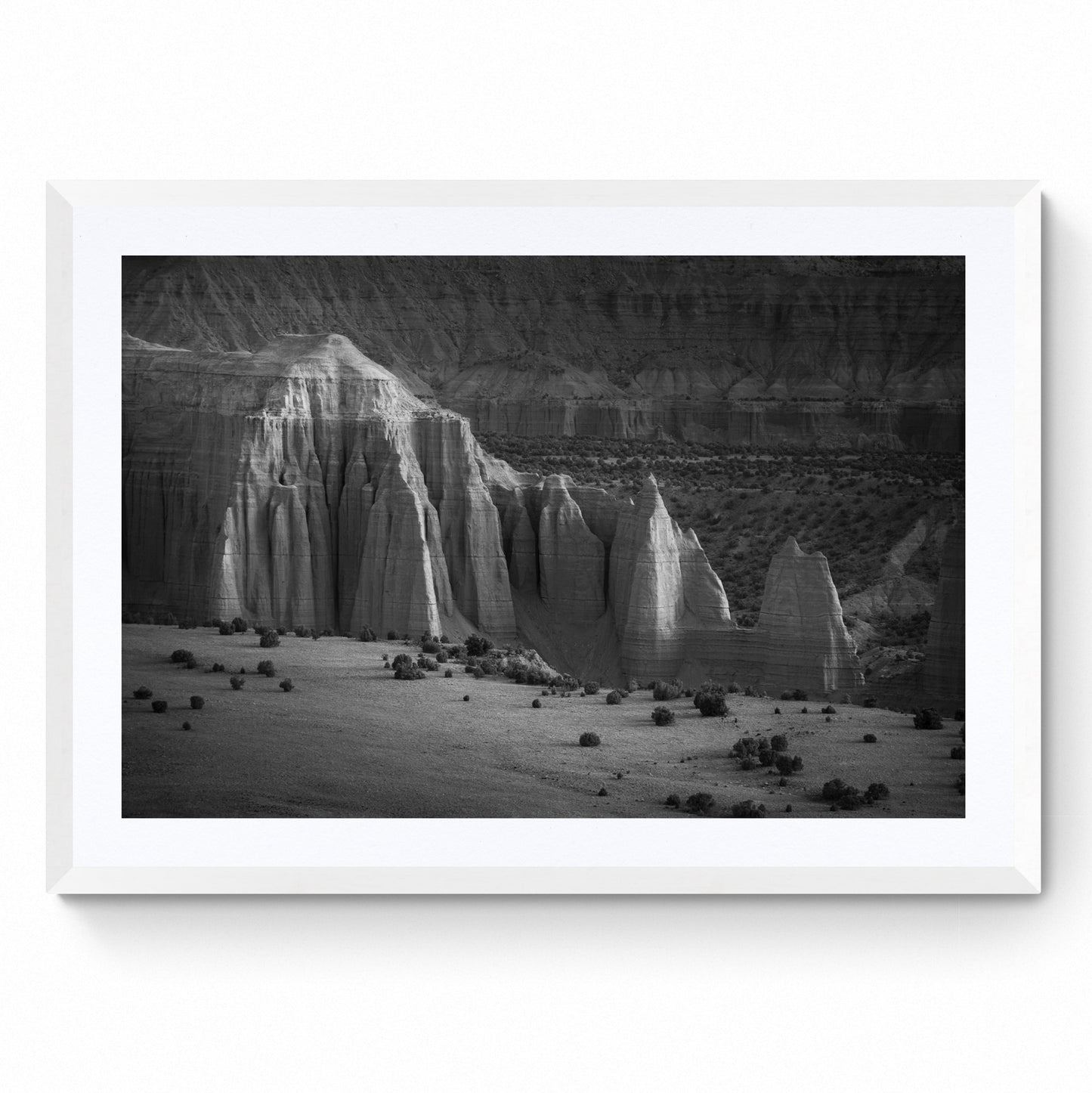 southwest landscape
