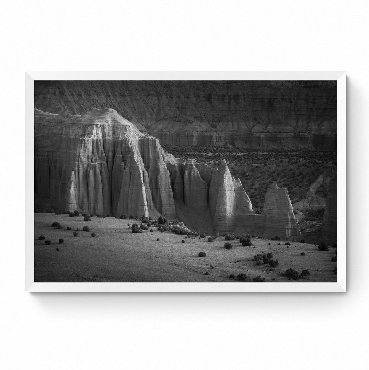 black and white landscape