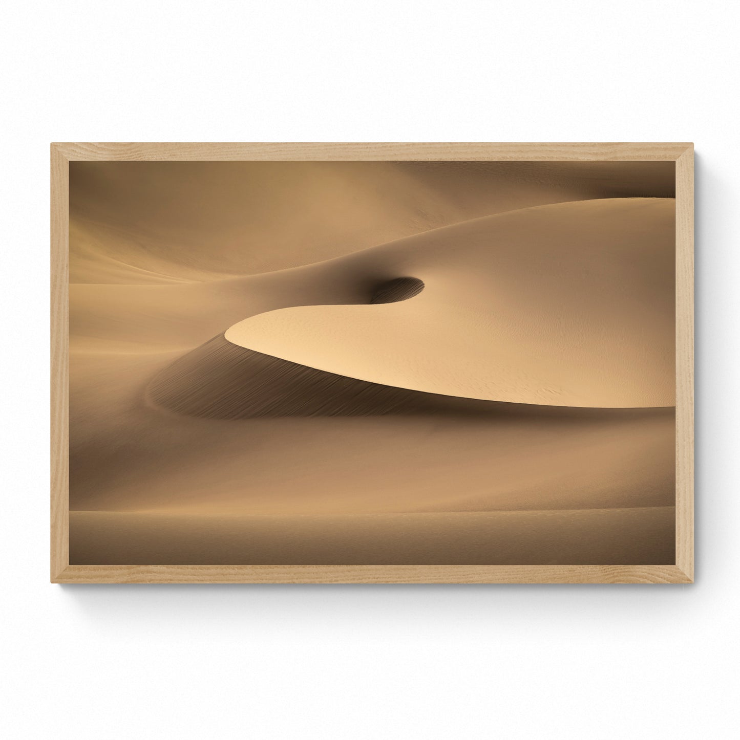 zgallery artwork