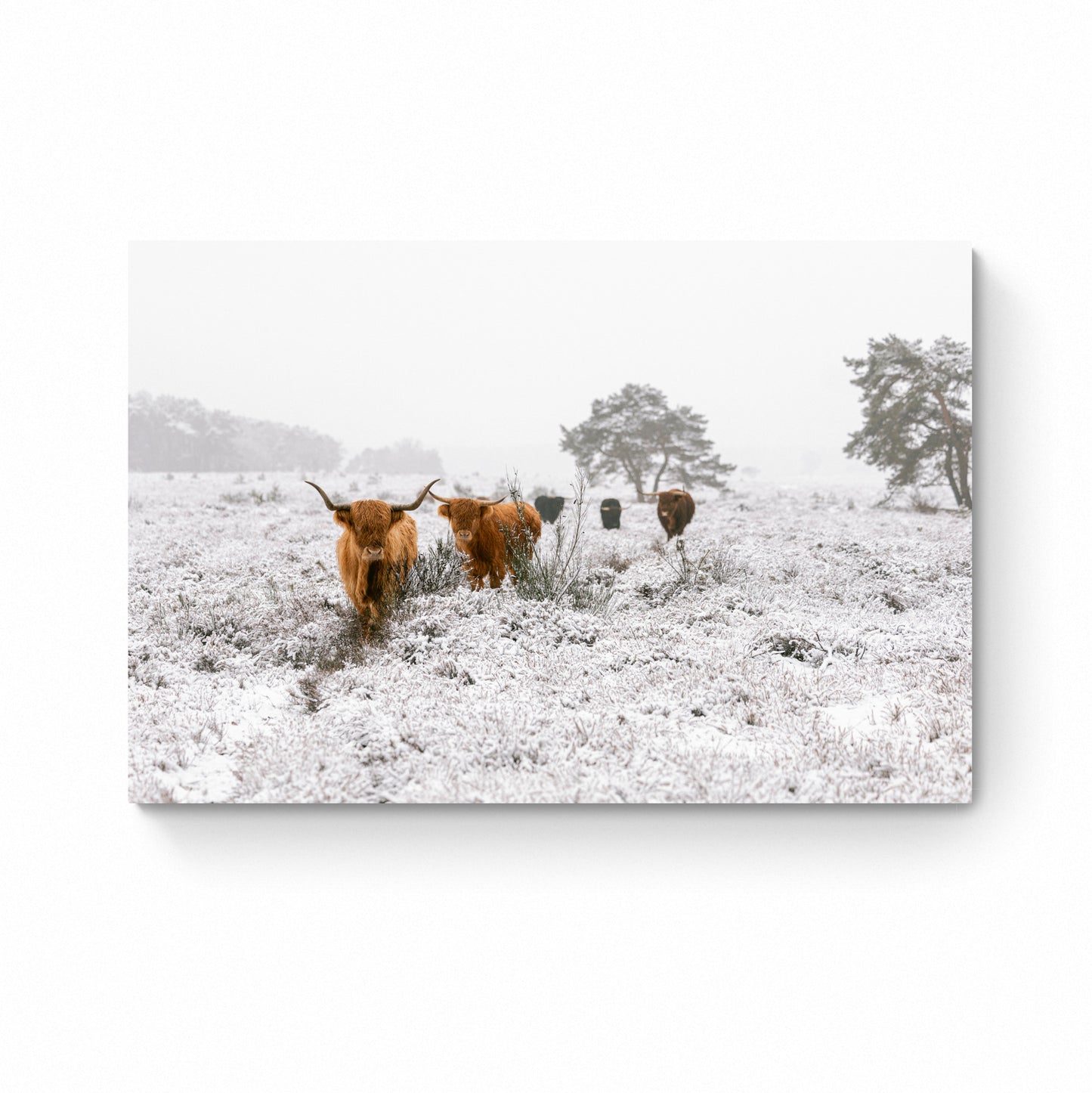 winter wonderland wall art