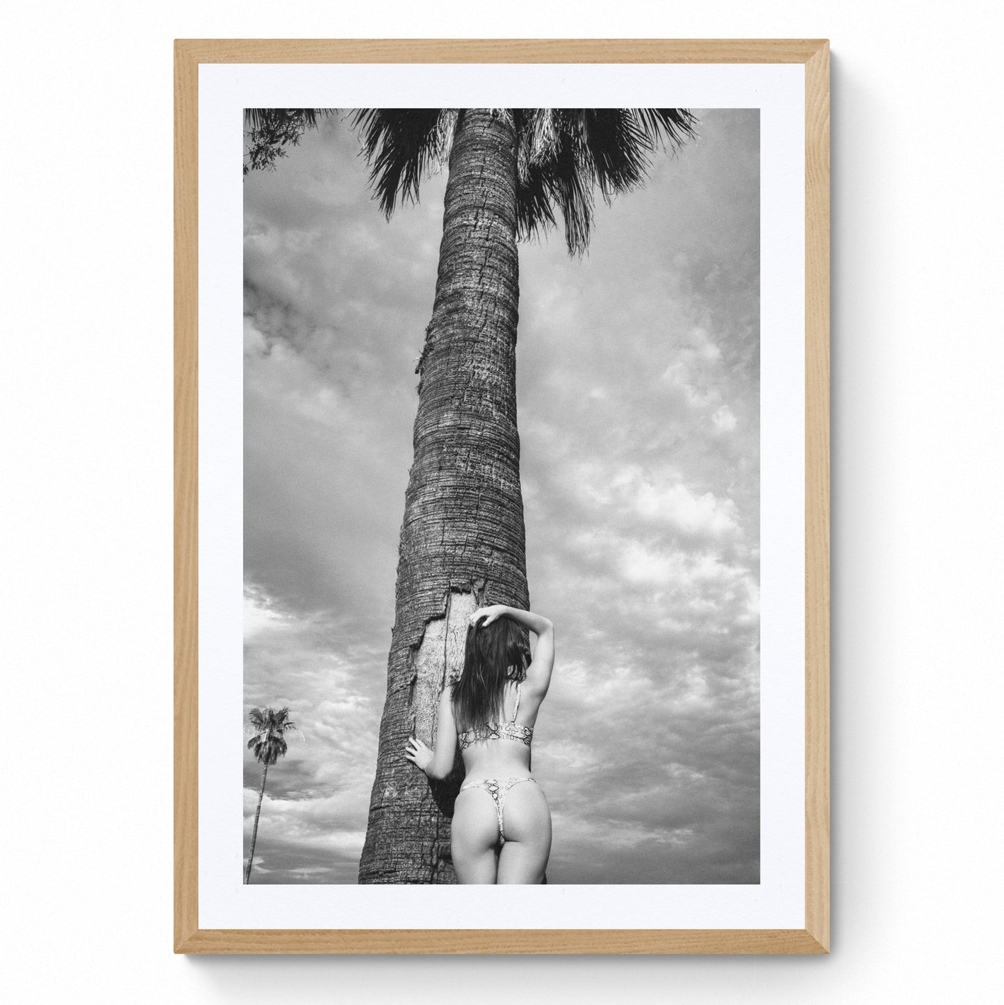 bikini art