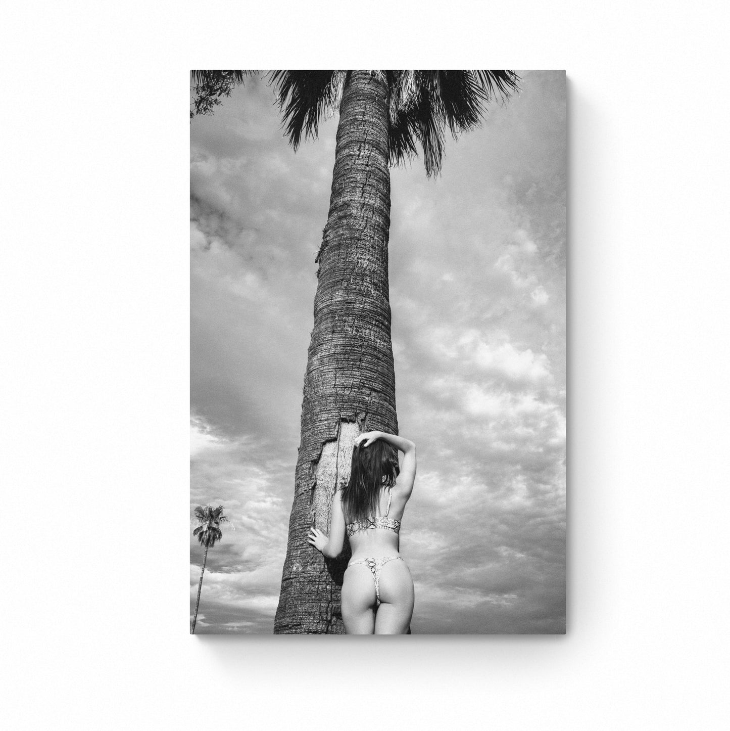 bikini wall art