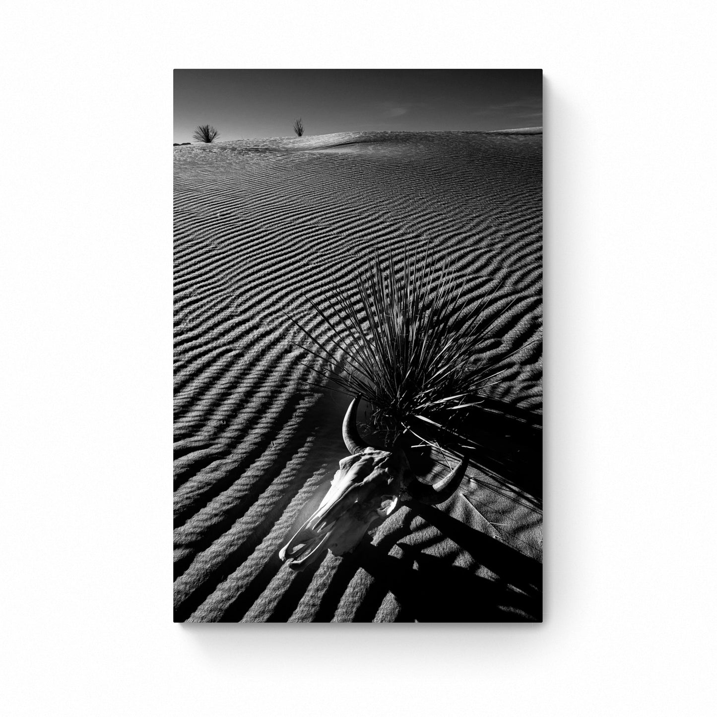 white sands national park photos