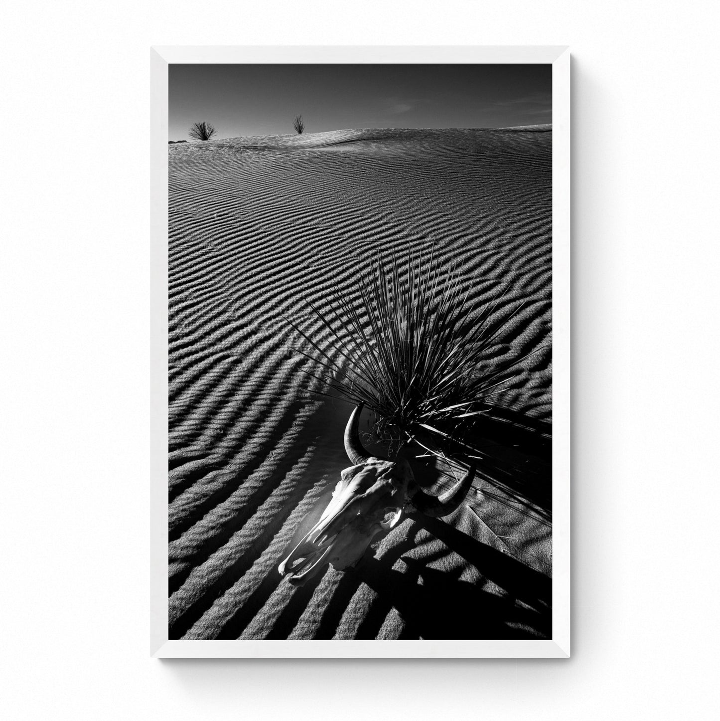 black and white western photos