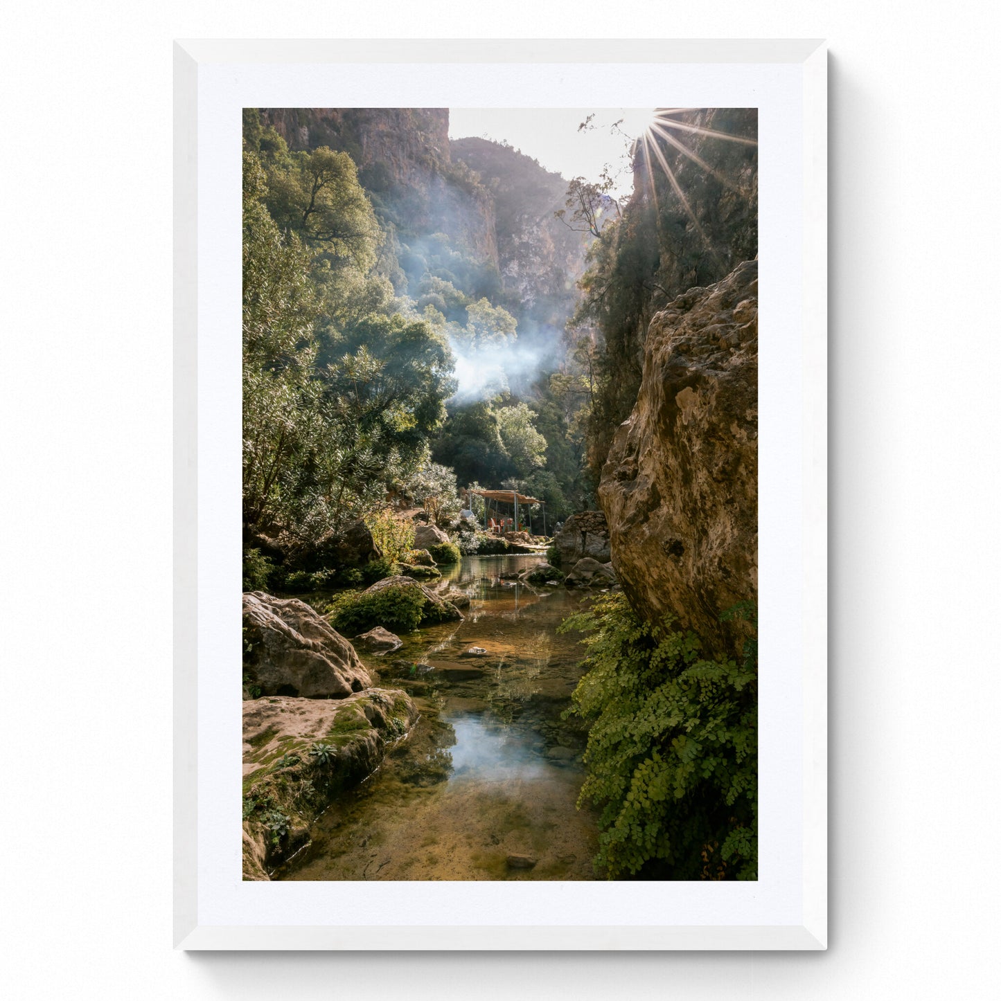 photography home decor