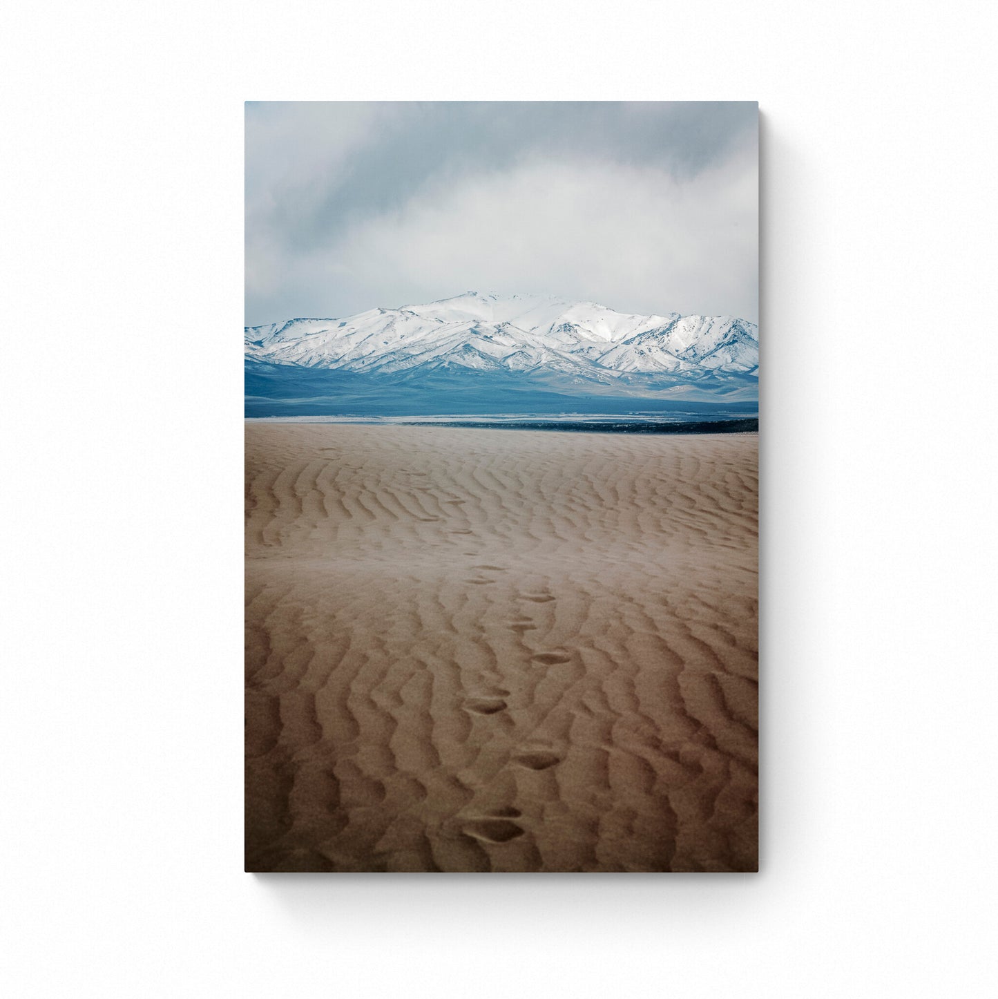 nevada prints