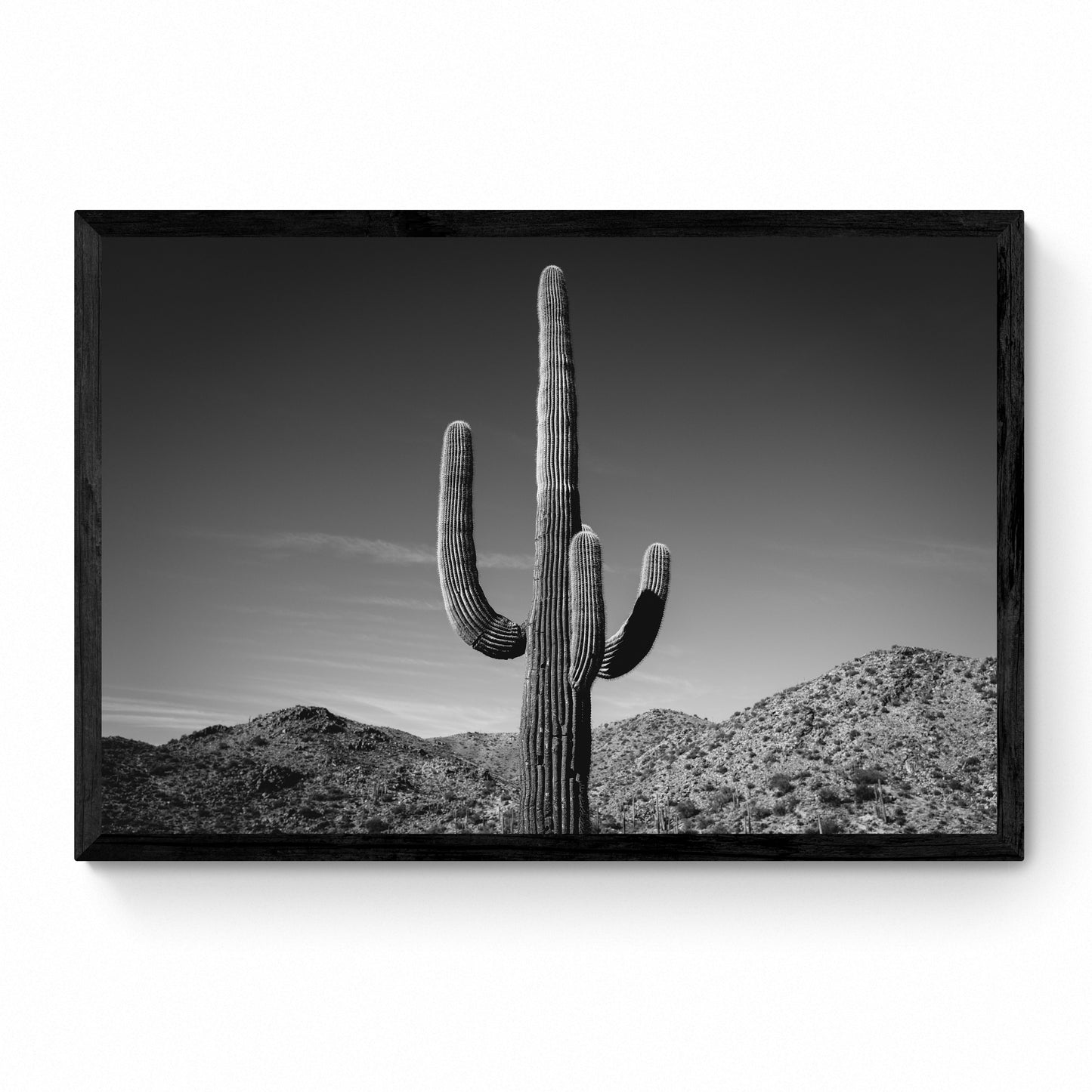 black and white cactus print