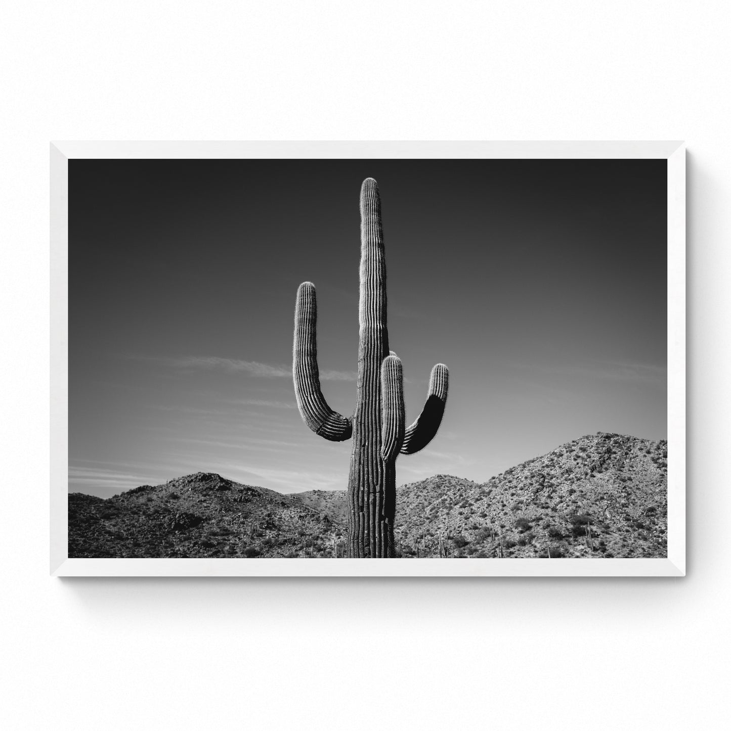 desert wall art