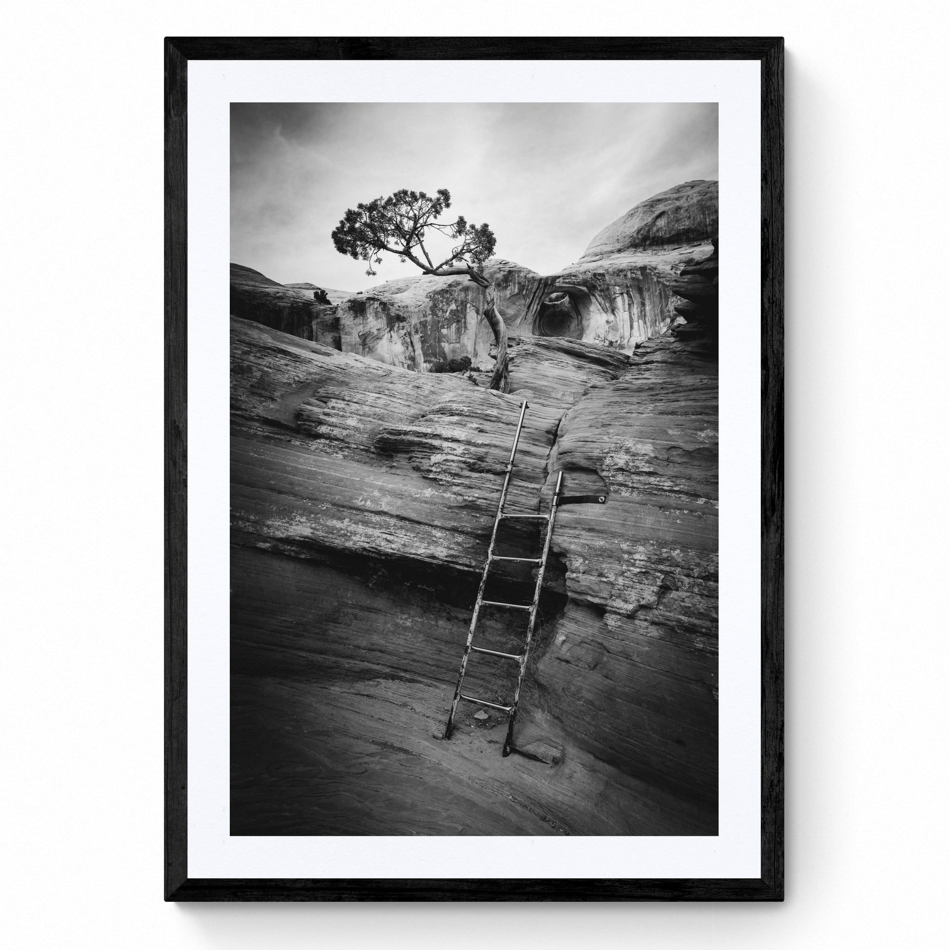 framed black and white art