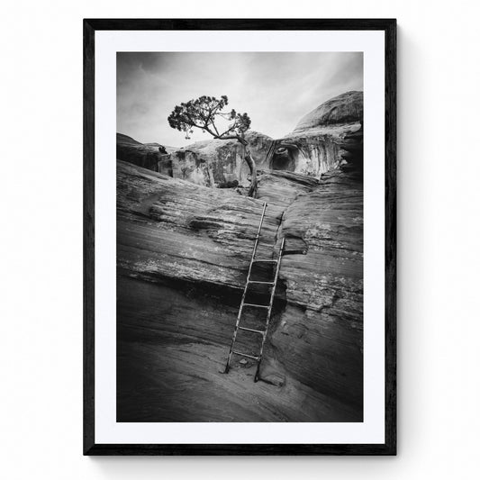 framed black and white art