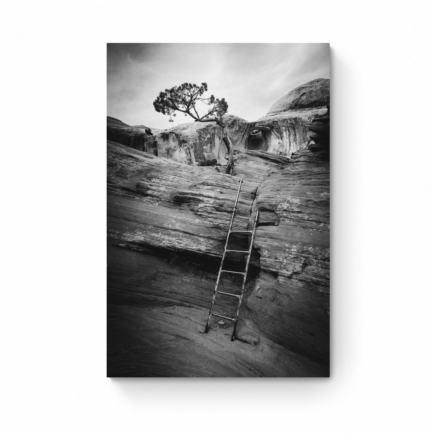 black and white film photography
