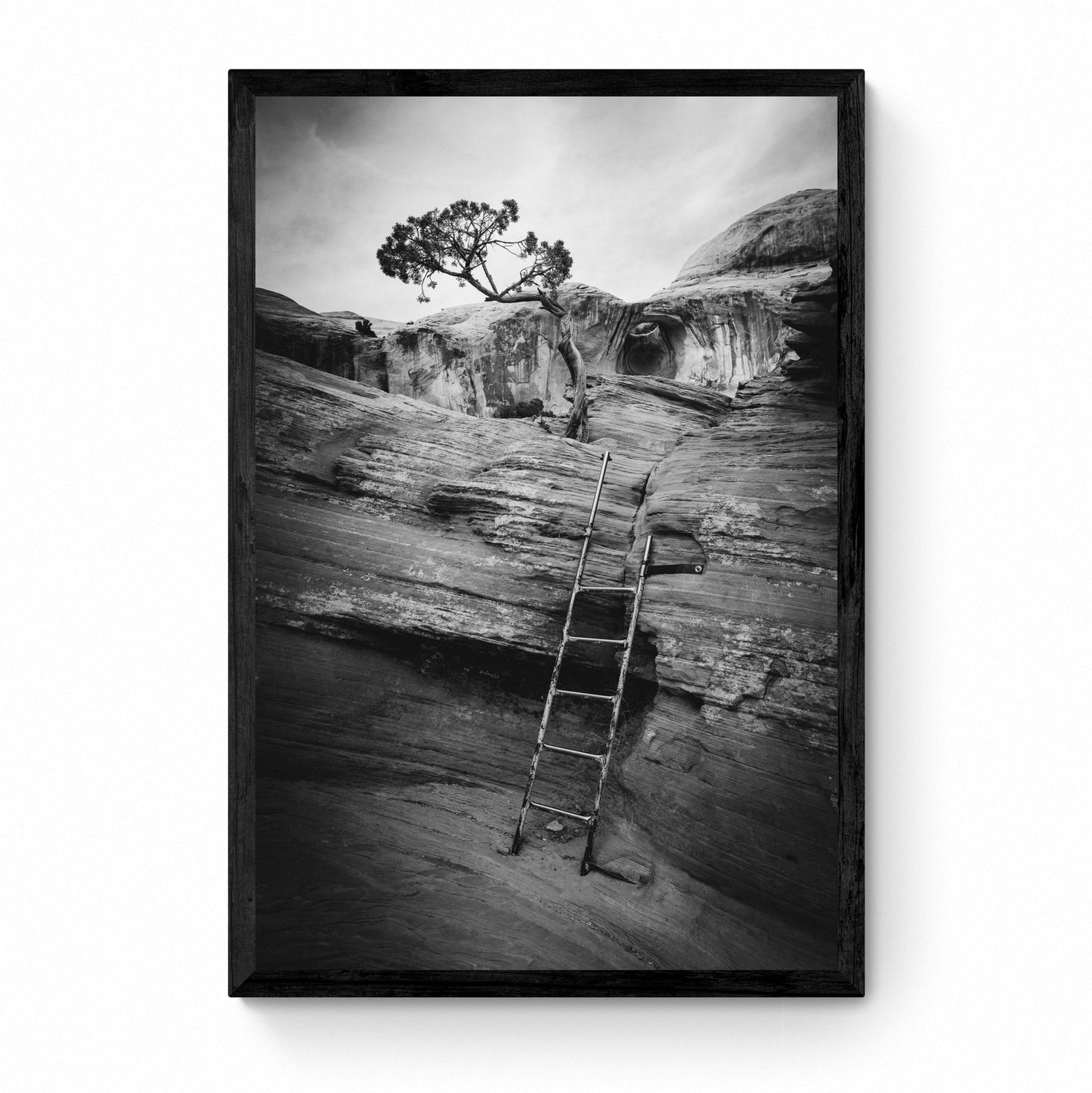 framed black and white art