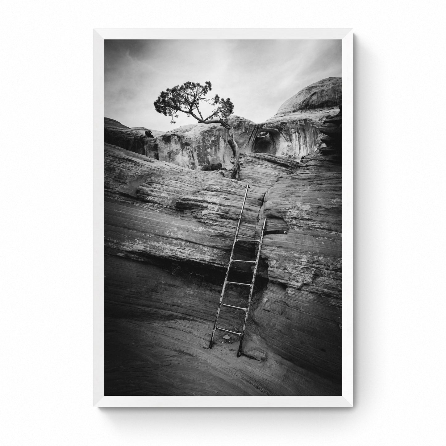 black and white western pictures