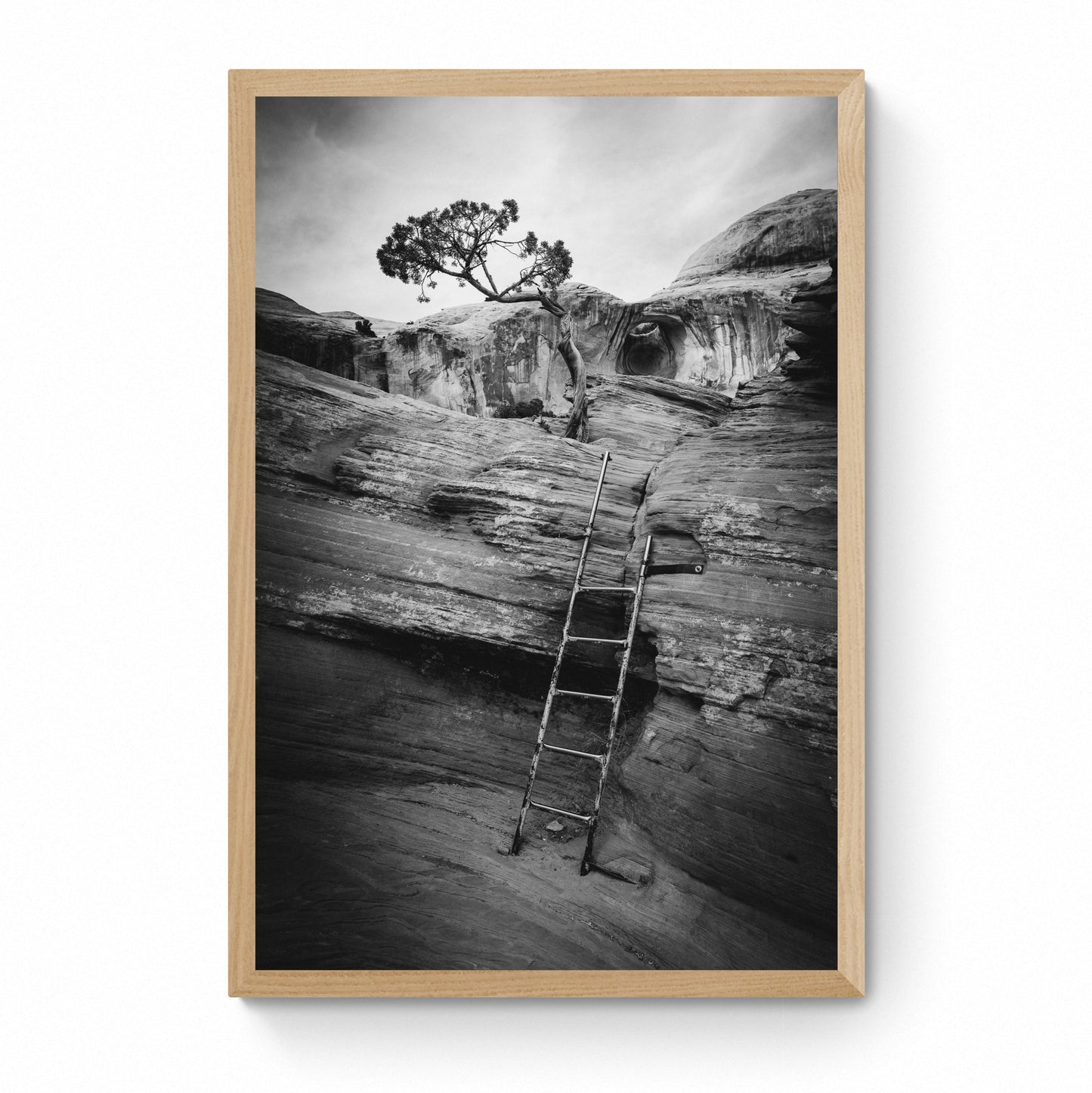 framed black and white art