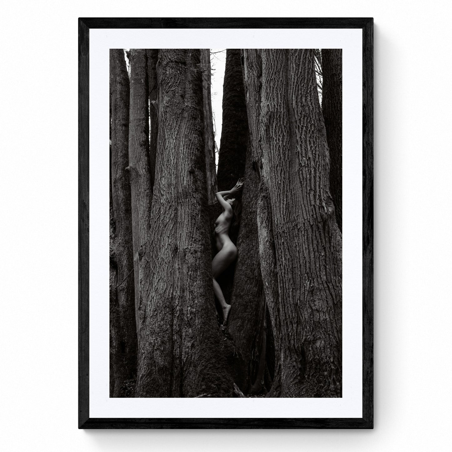 nude art photography
