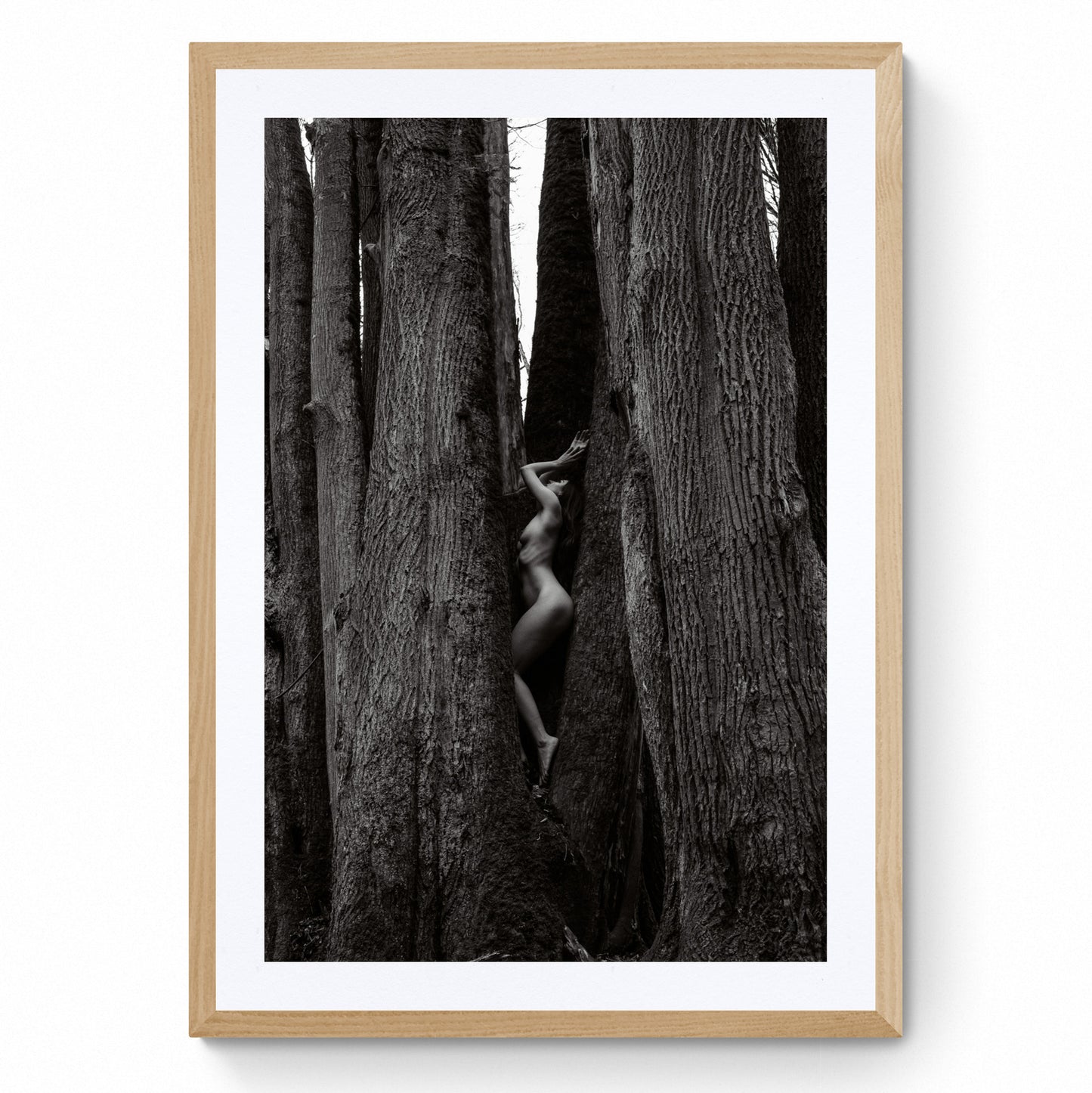 nude art wall