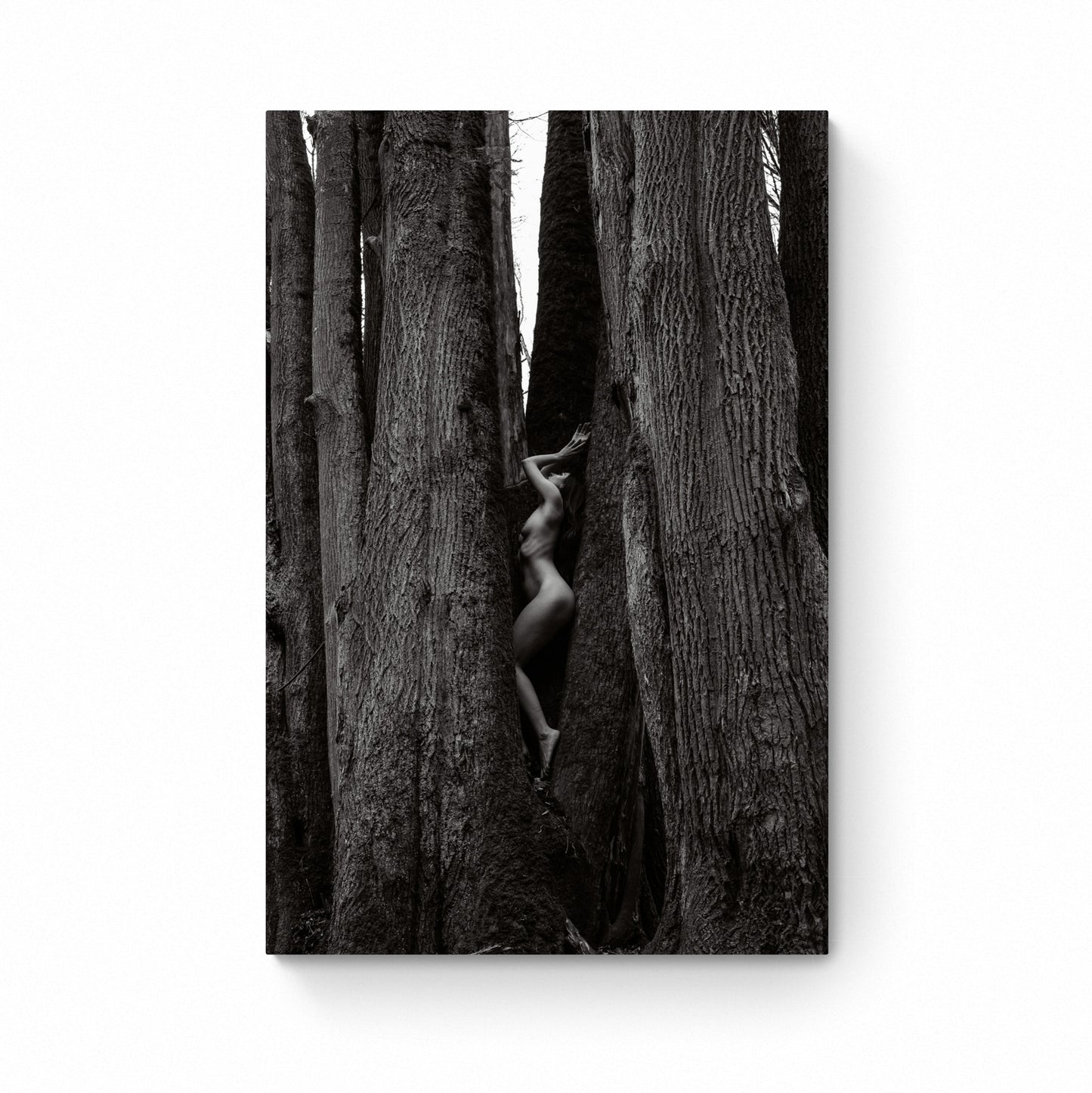 nude photography art