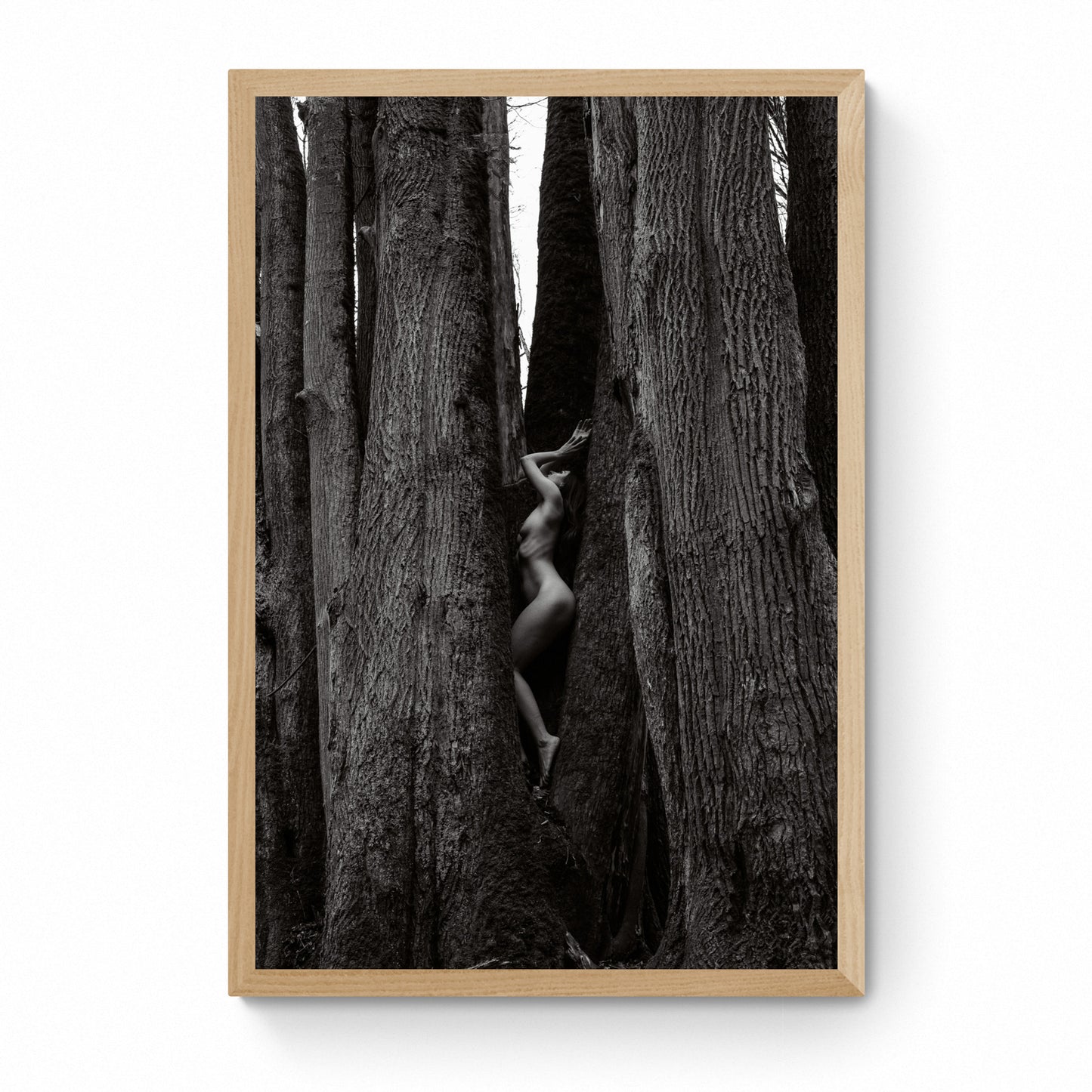 nude photography prints