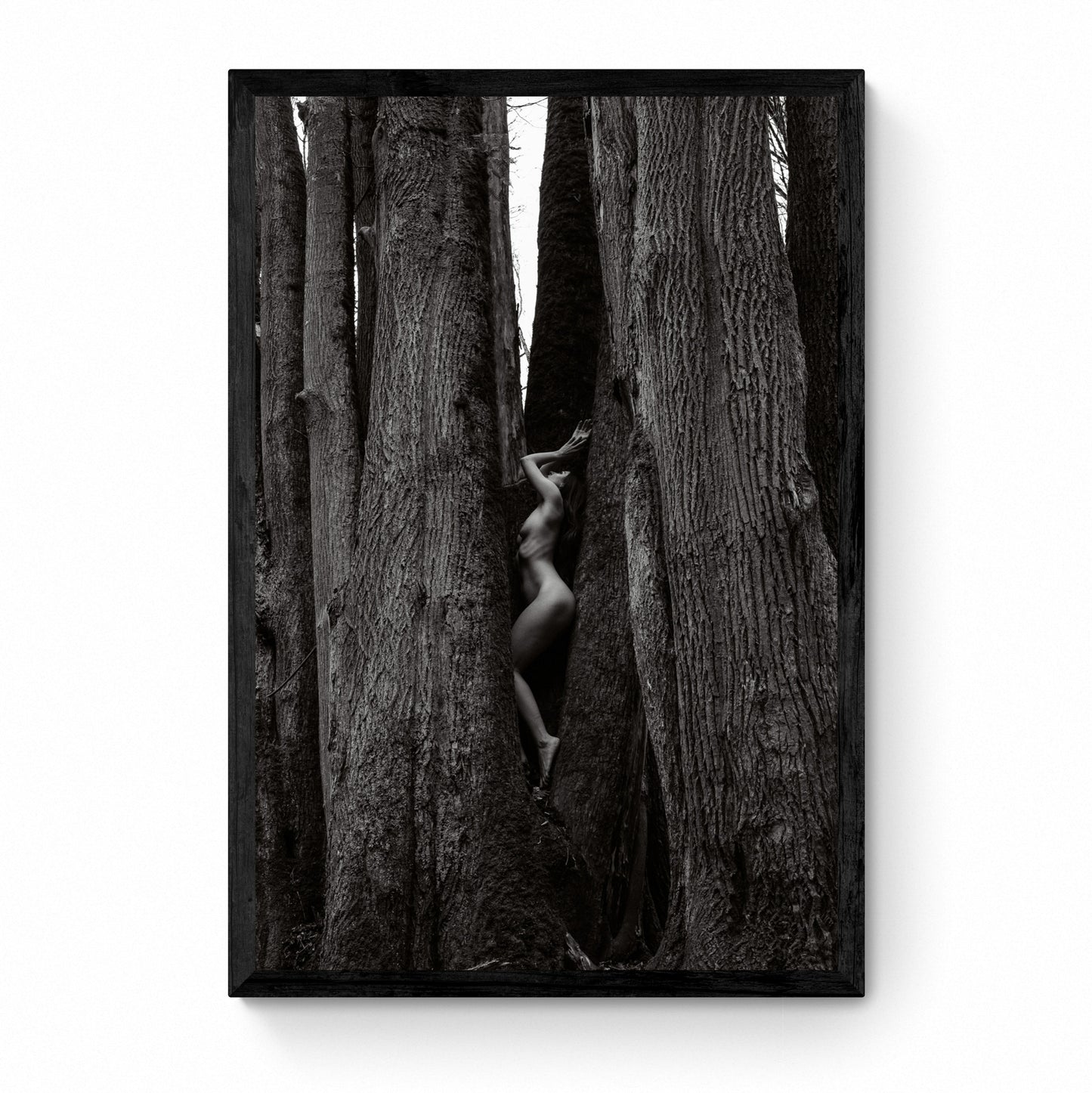 nude wall art