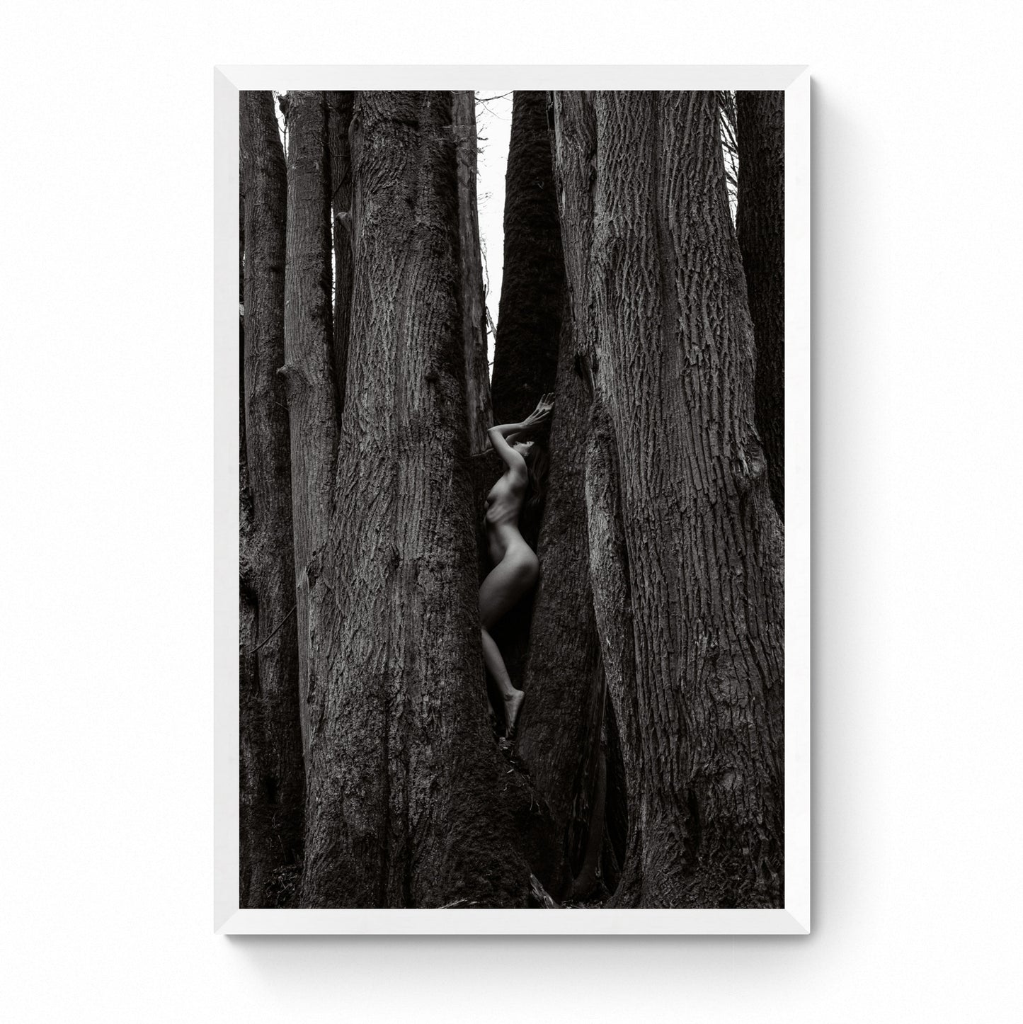 nude wall decor