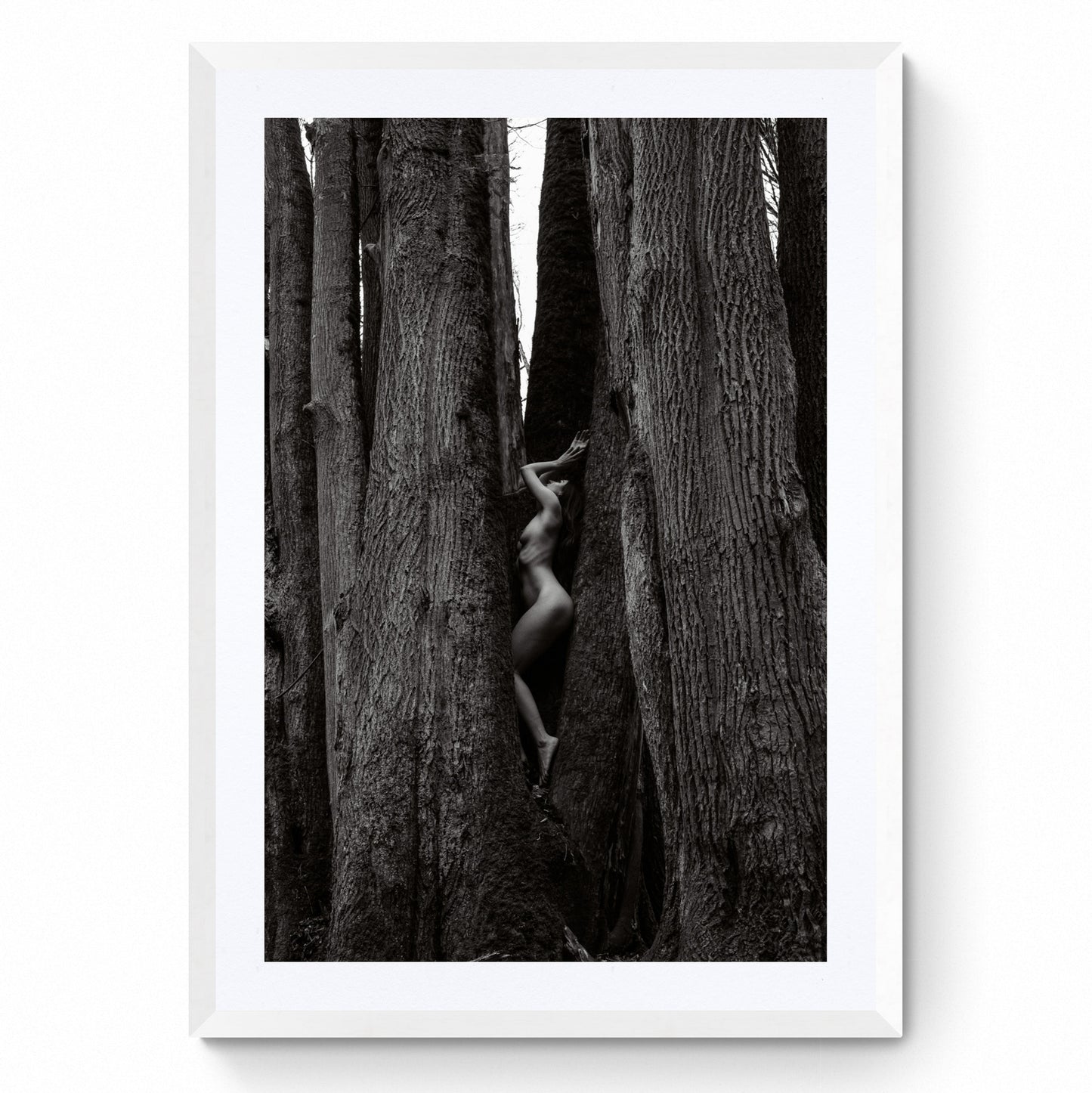 nude woman art