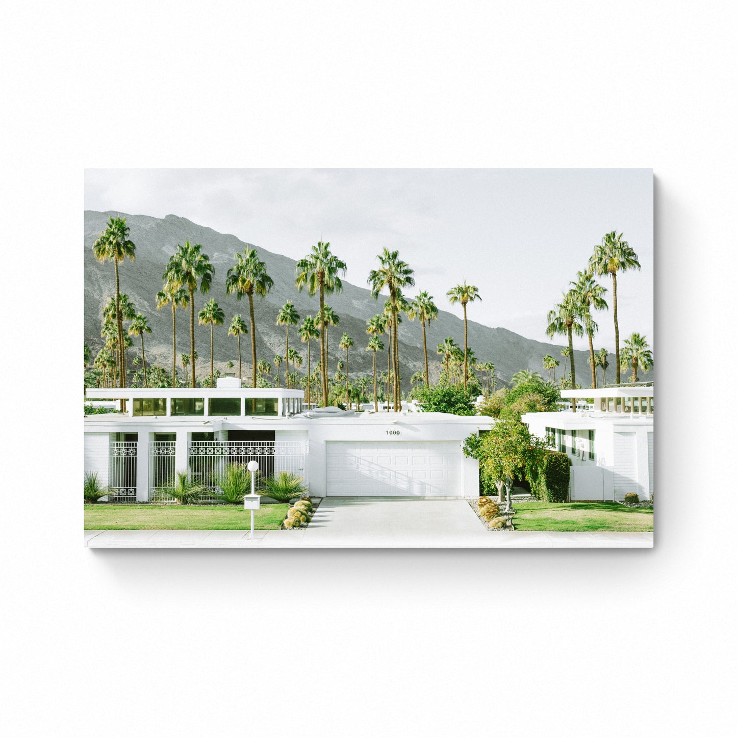 palm springs art print