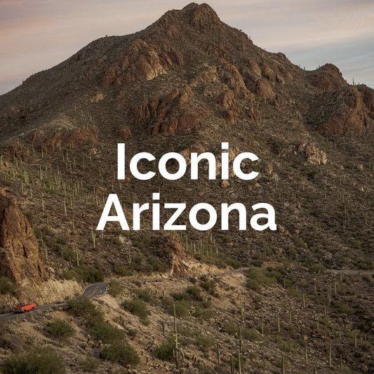 iconic arizona art