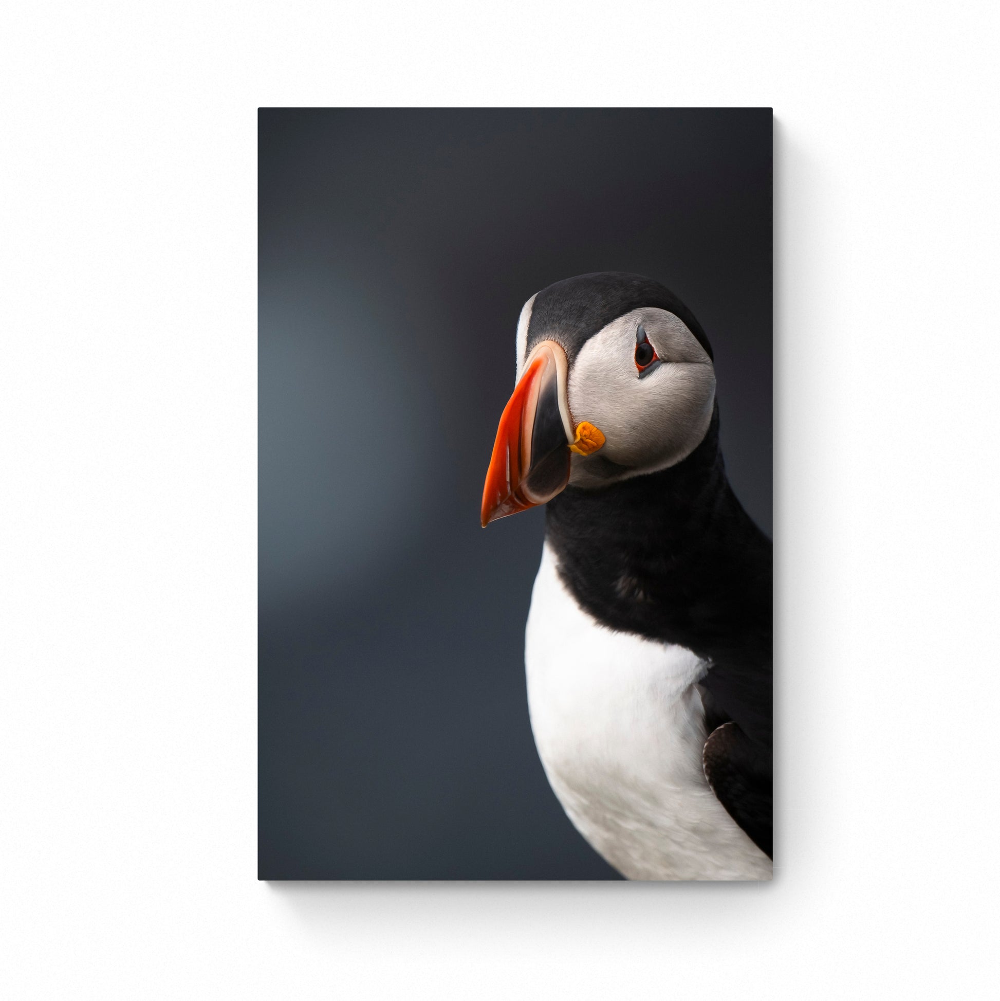 puffin prints