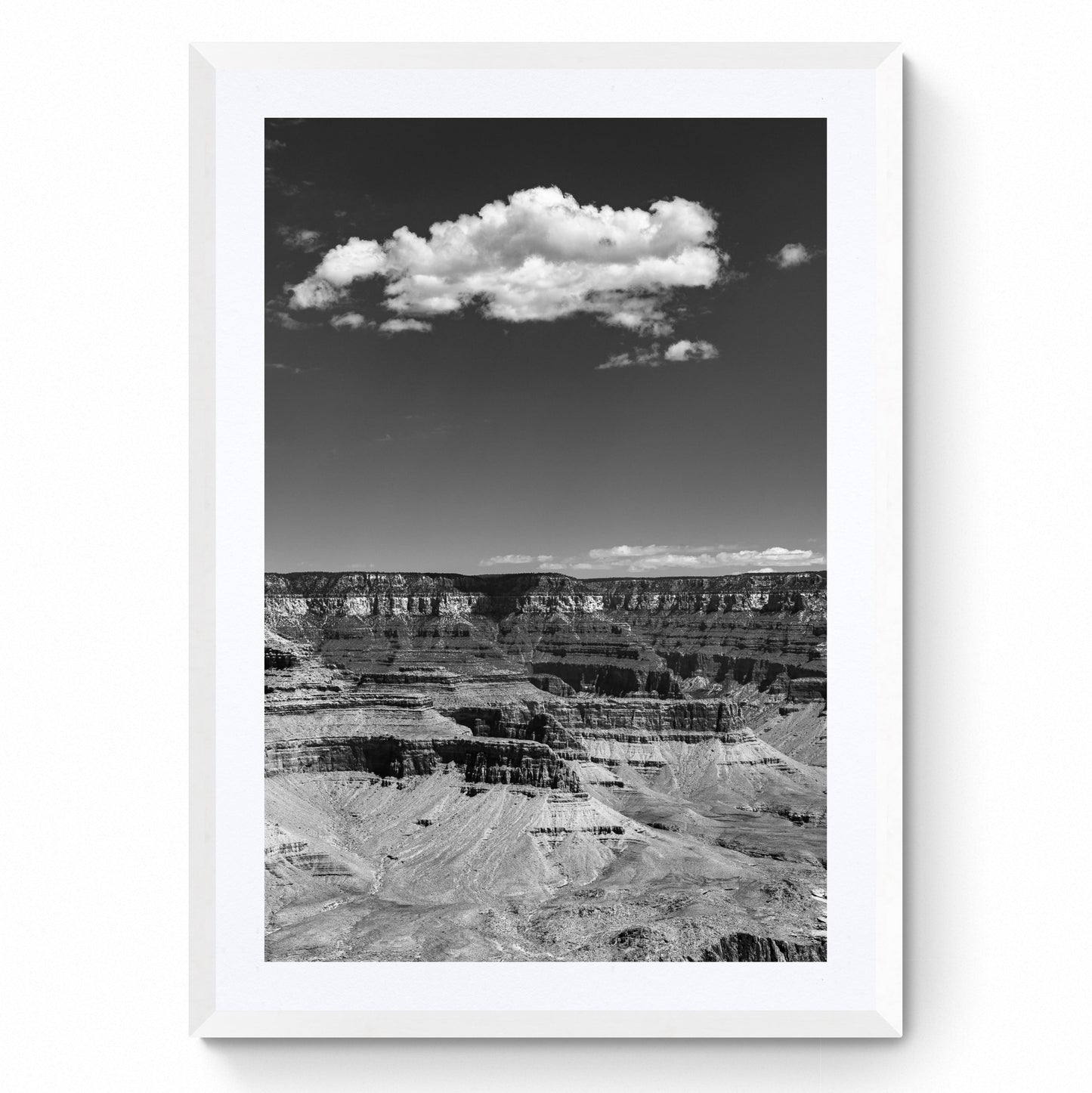 grand canyon black and white
